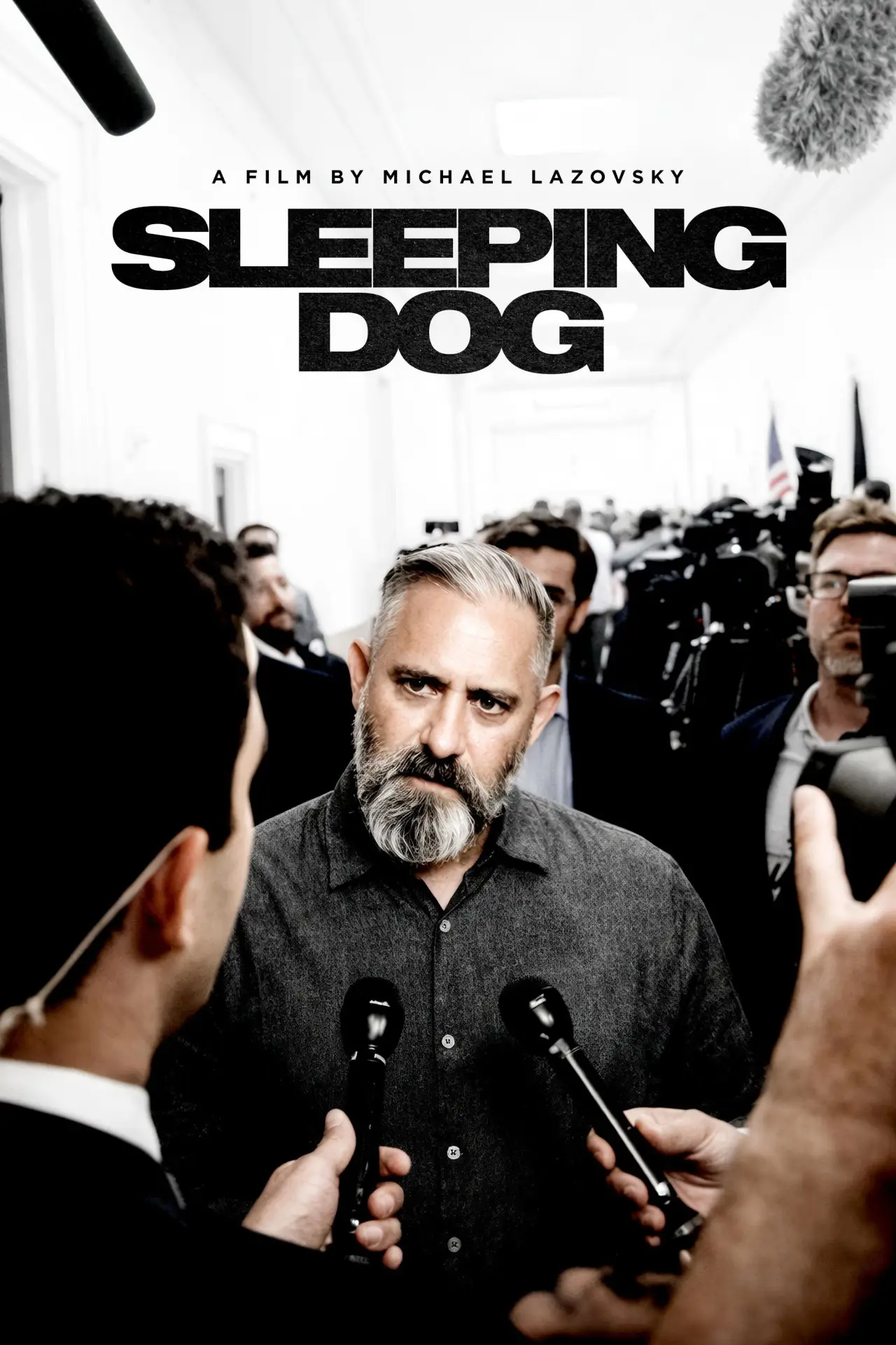 Movie poster "Sleeping Dog"