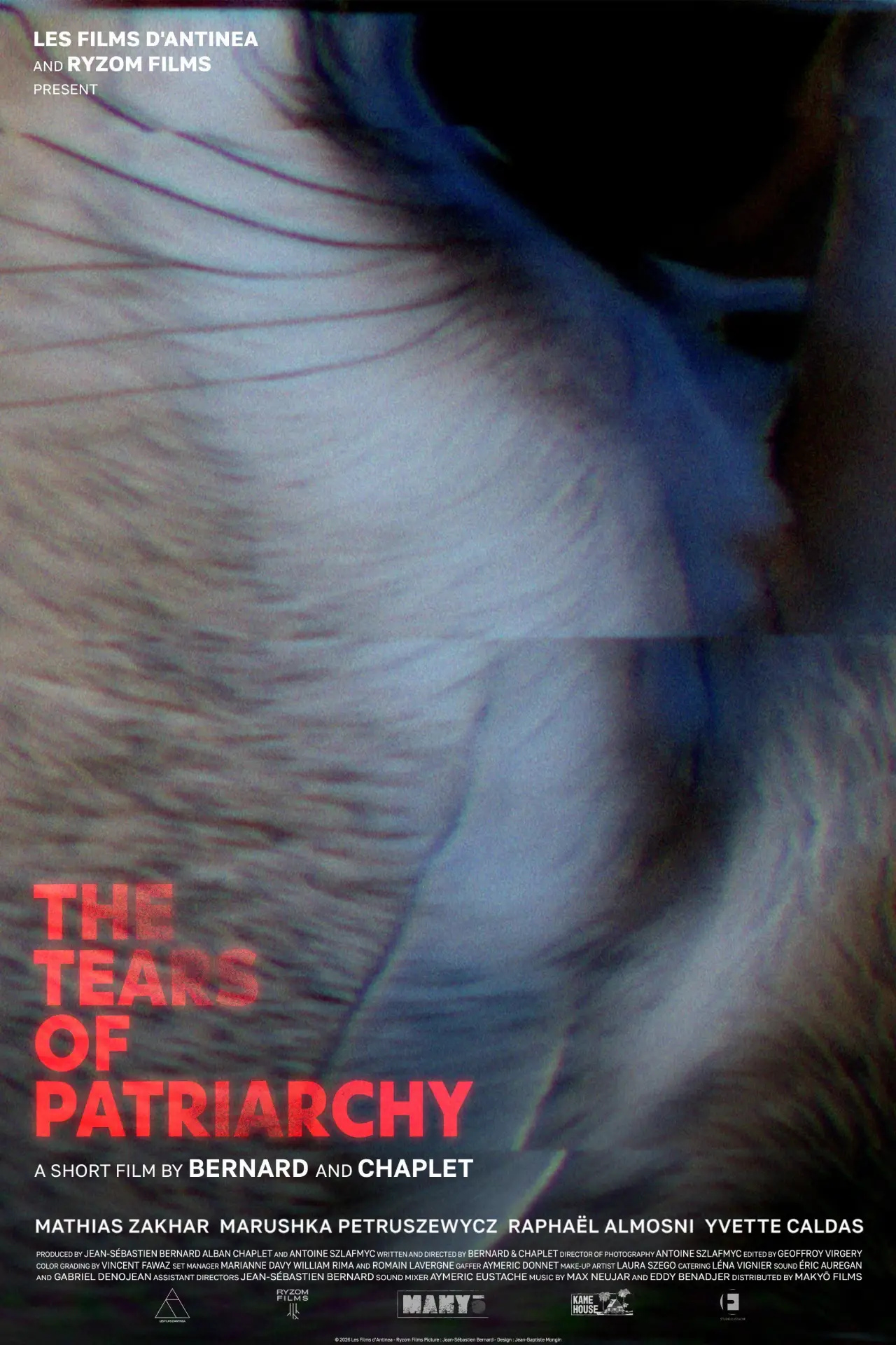 Movie poster "Les Larmes du Patriarcat"