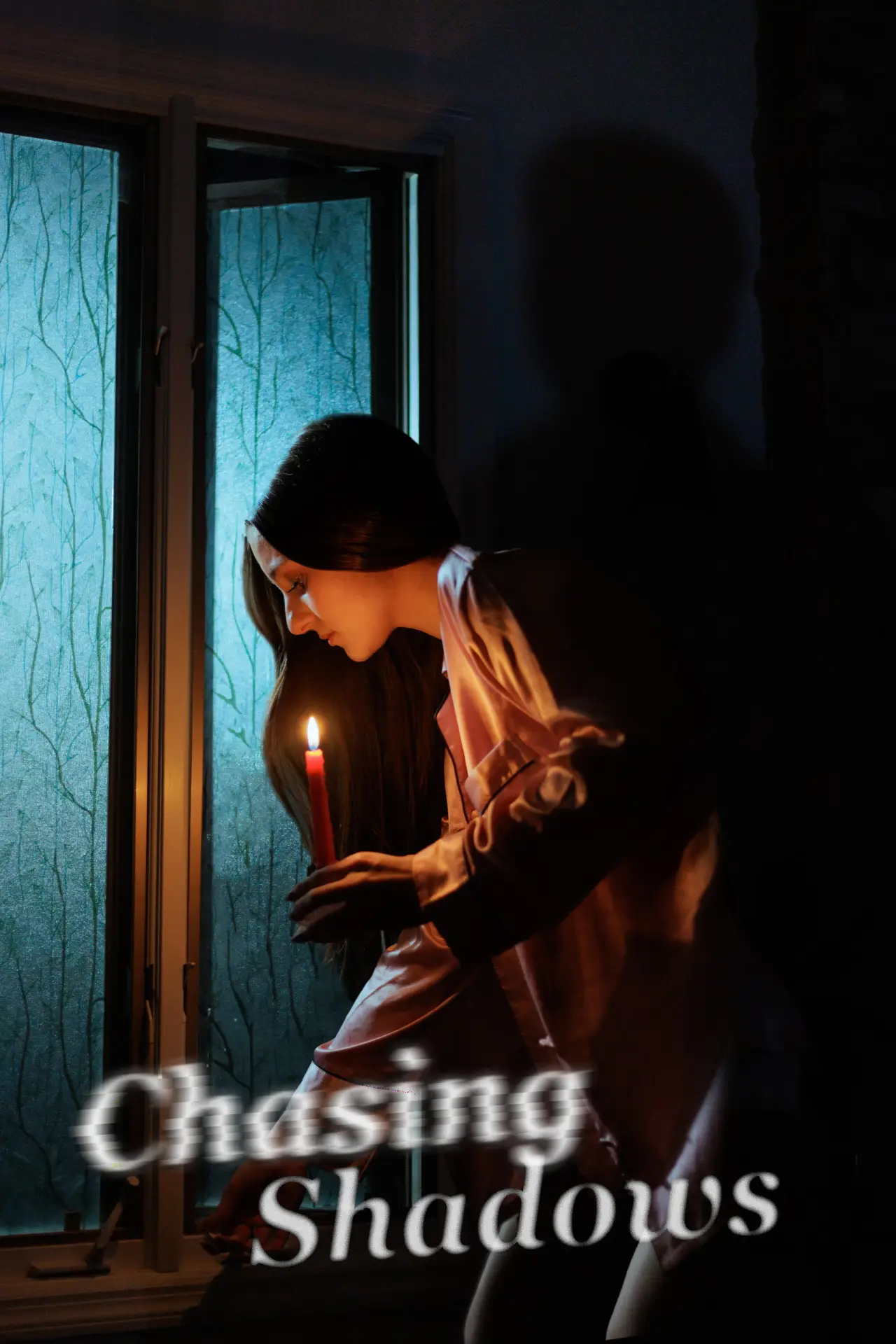 Movie poster "Chasing Shadows"
