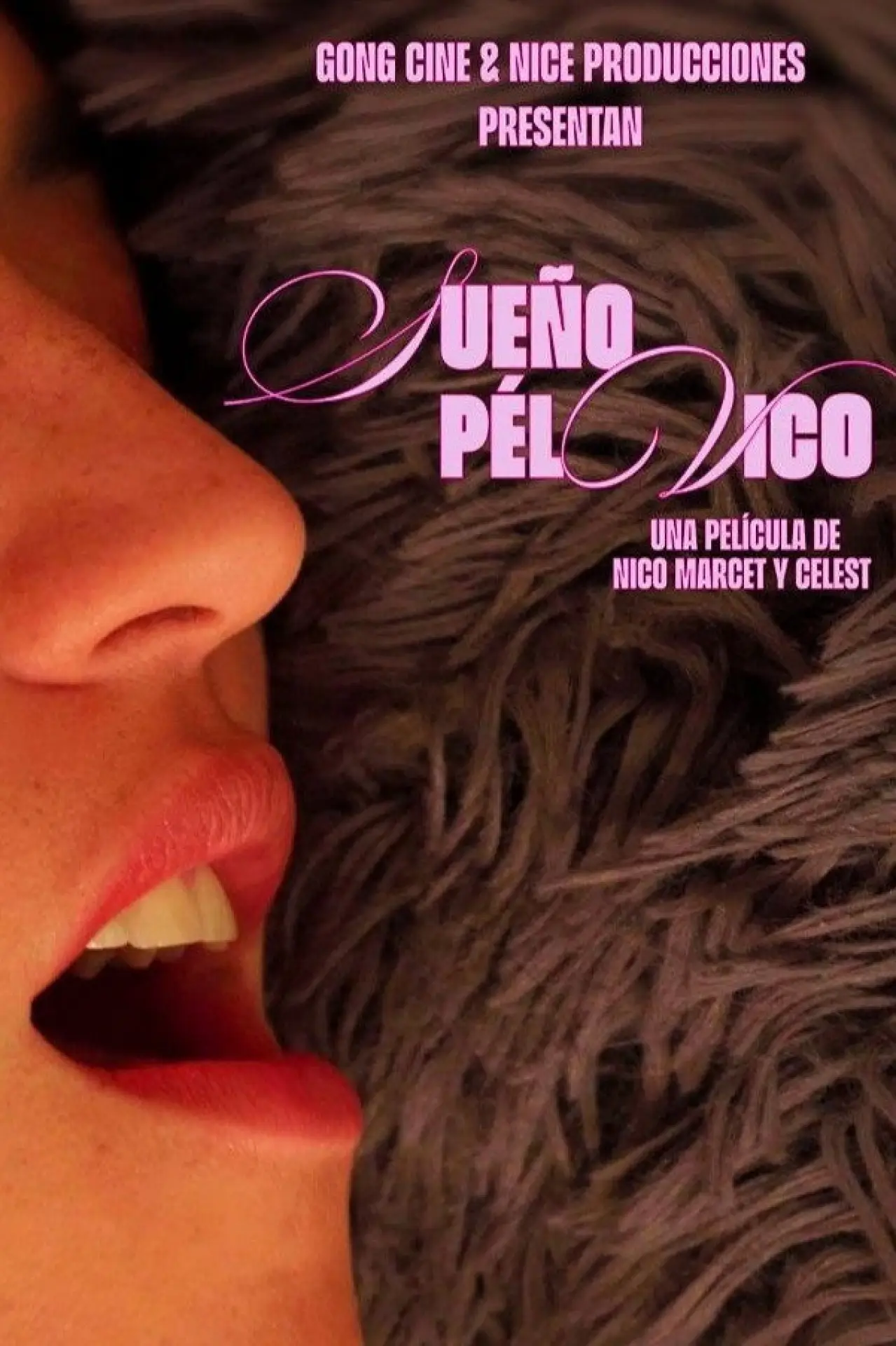 Movie poster "Pelvic Dream"