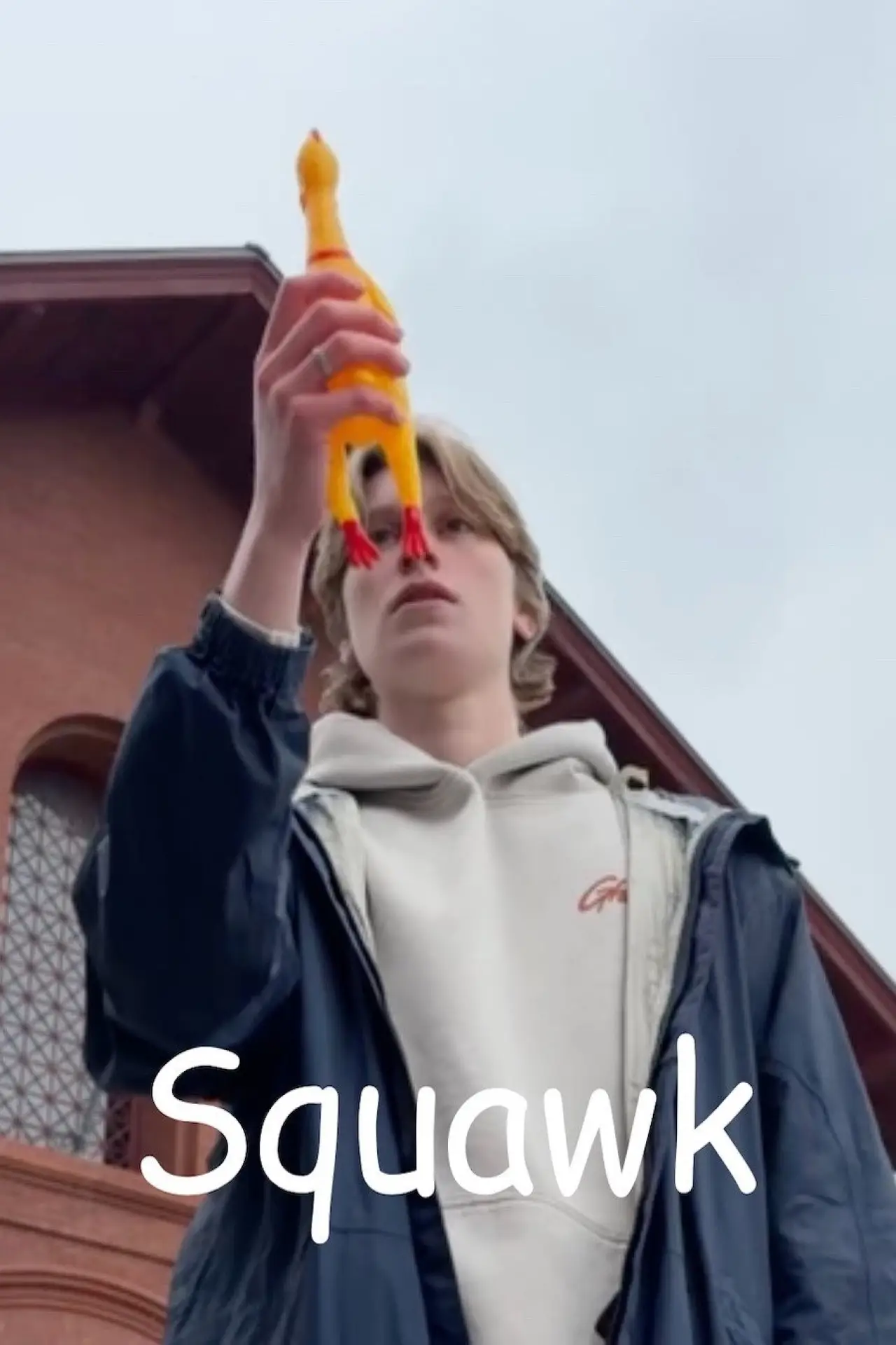 Movie poster "Squawk"