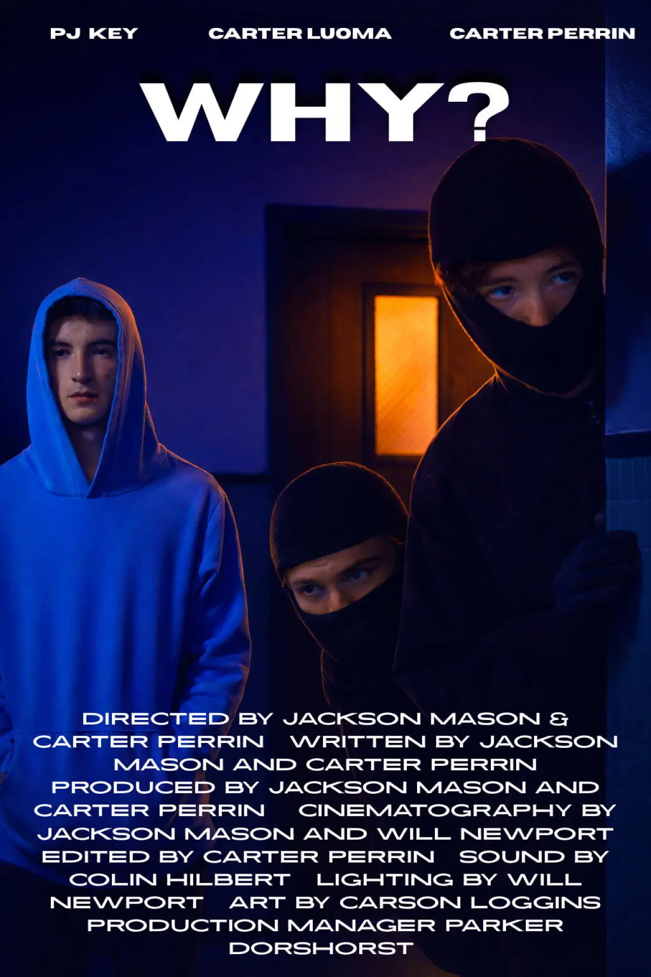 Movie poster "Why?"