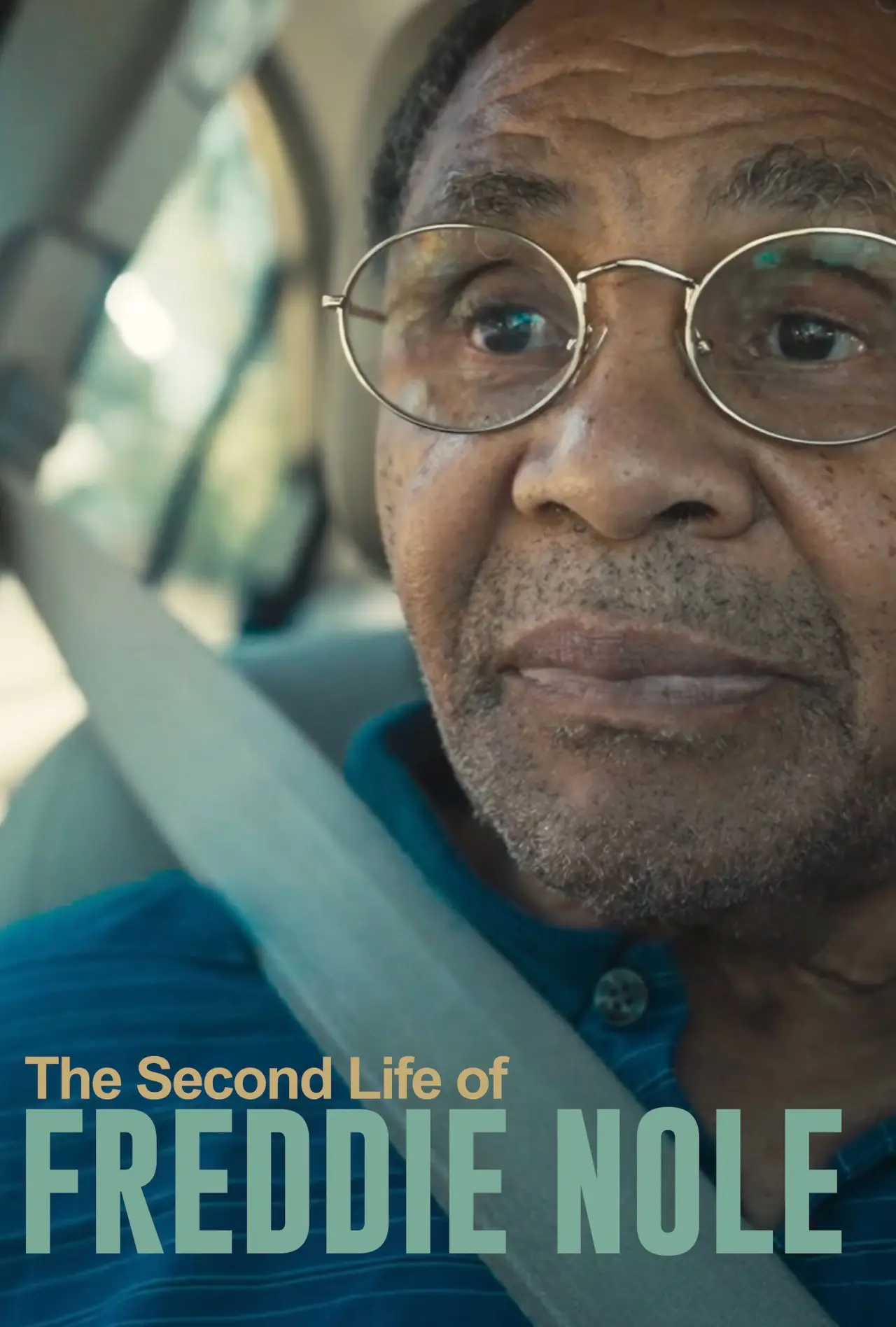 Movie poster "The Second Life of Freddie Nole"