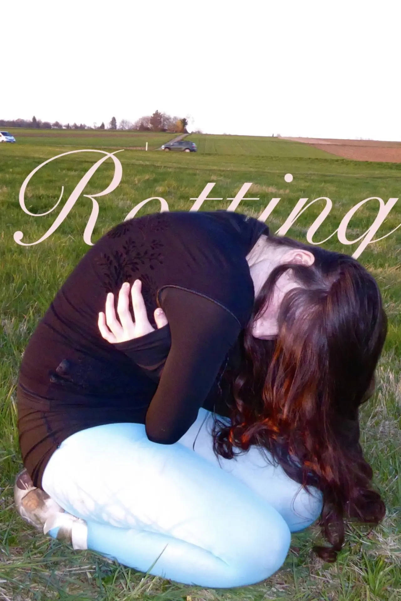 Movie poster "Rotting"