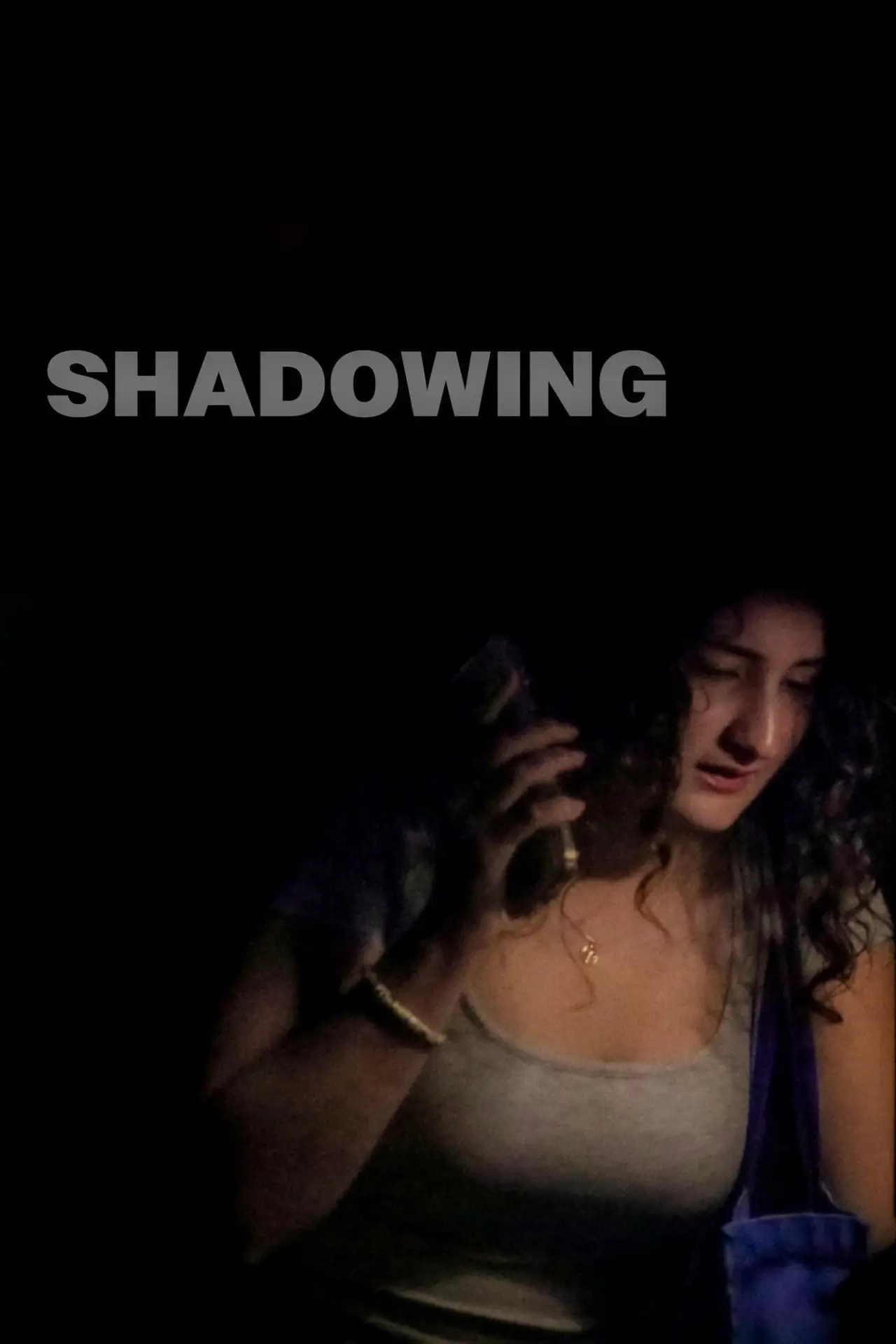 Movie poster "Shadowing"