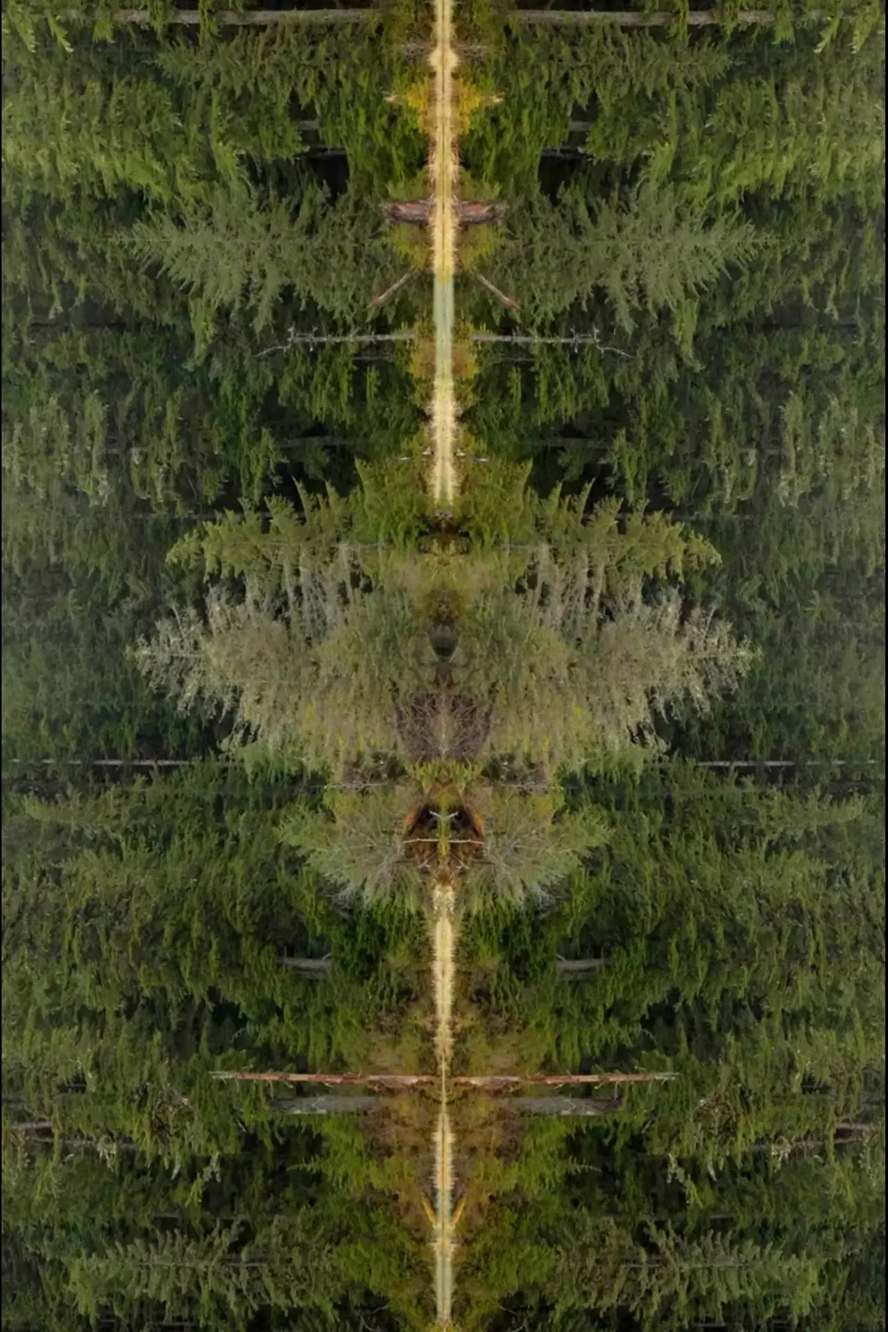 Movie poster "Mirrorpond"