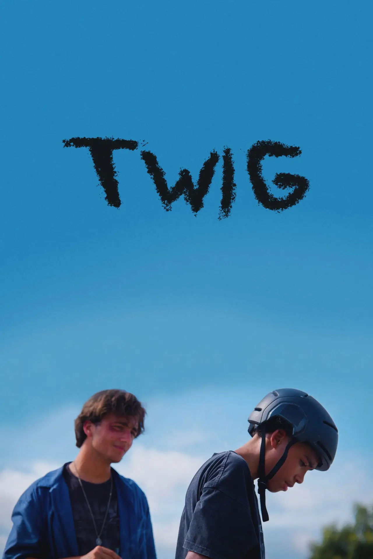 Movie poster "Twig"