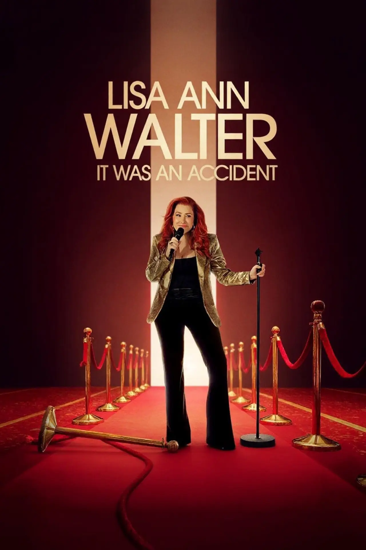 Movie poster "Lisa Ann Walter: It Was an Accident"