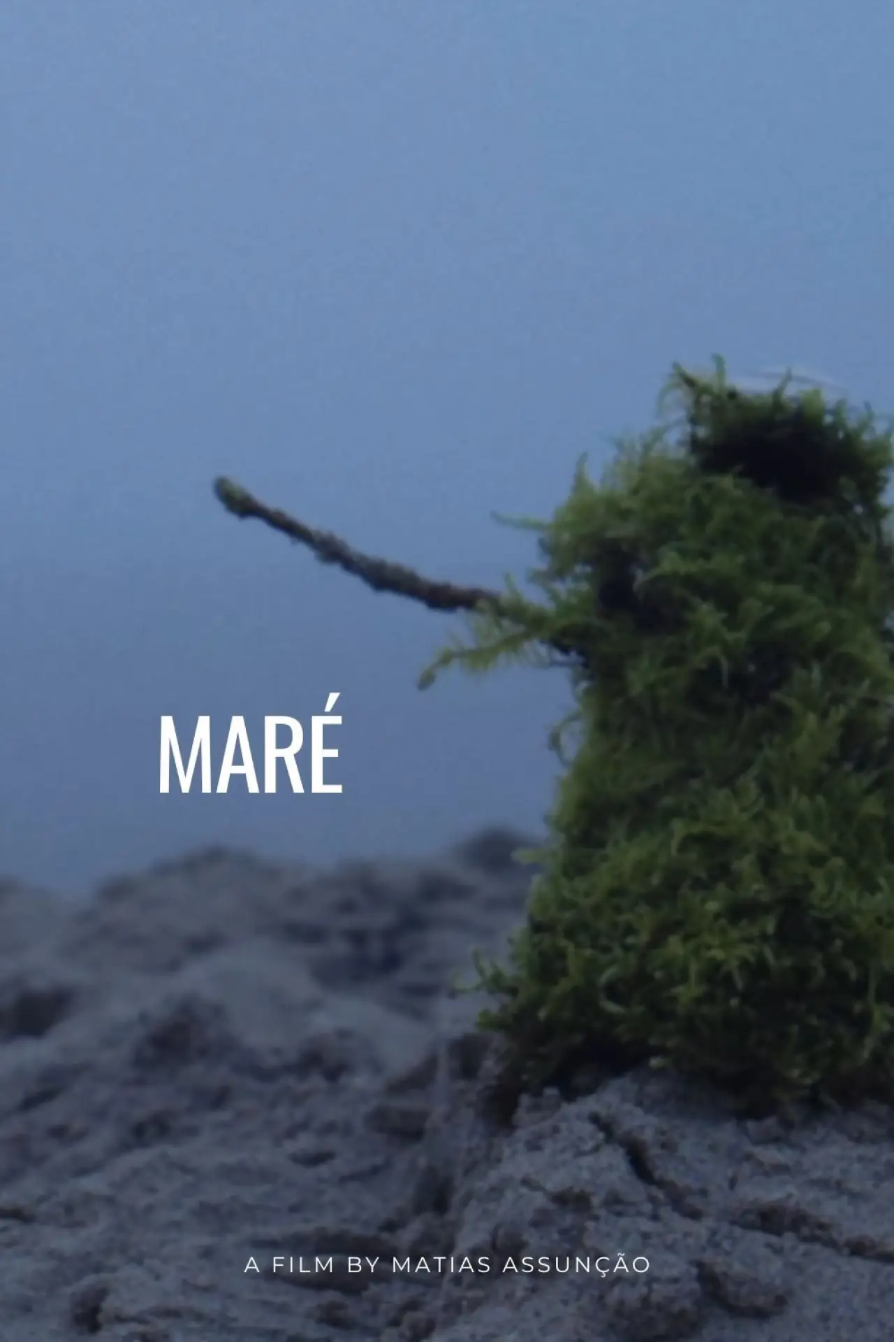 Movie poster "Maré"