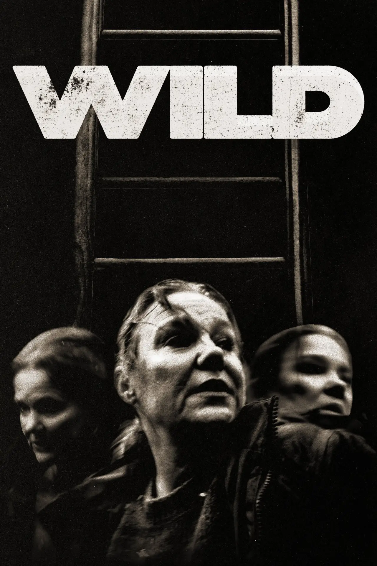 Movie poster "Wild"
