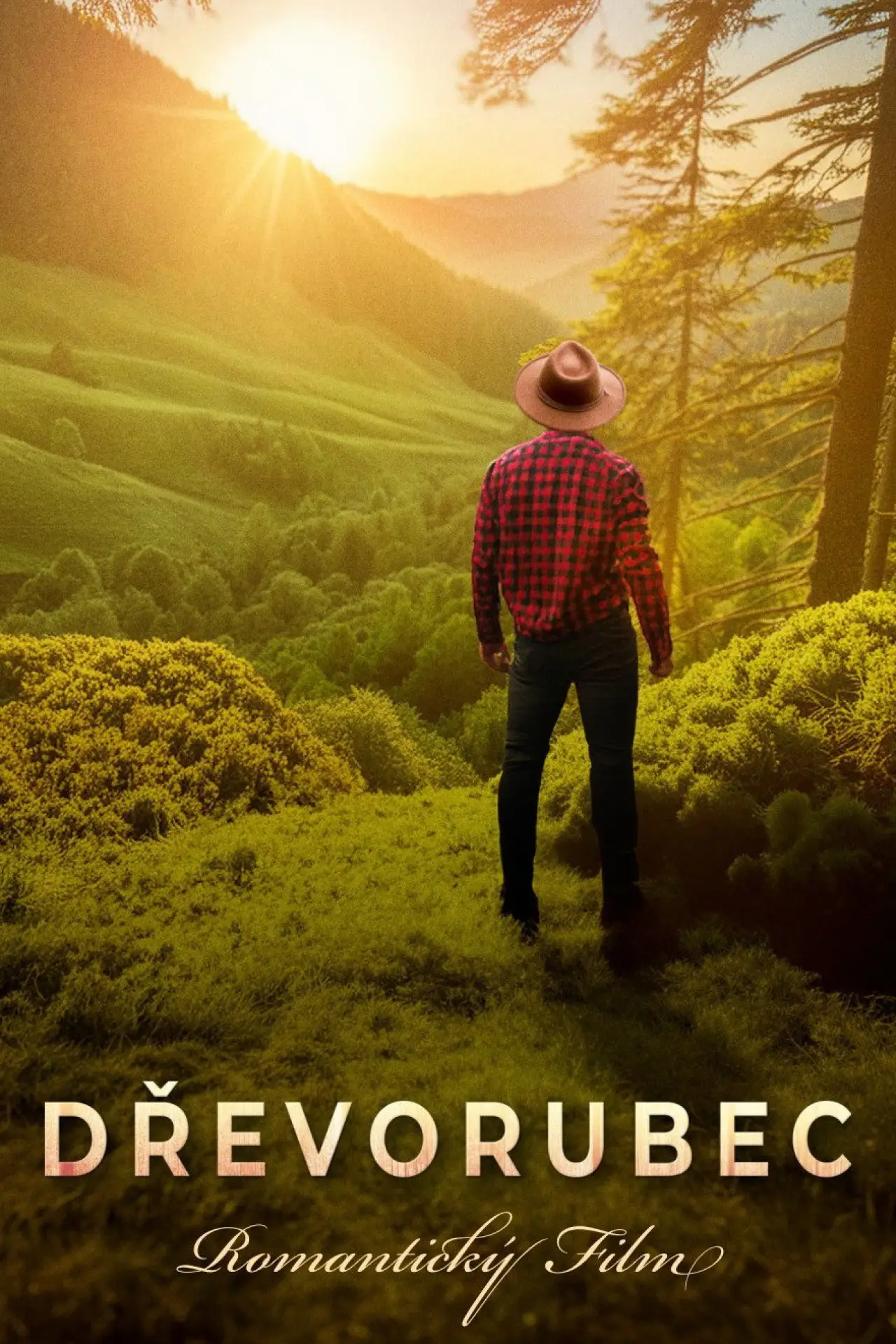 Movie poster "Dřevorubec"
