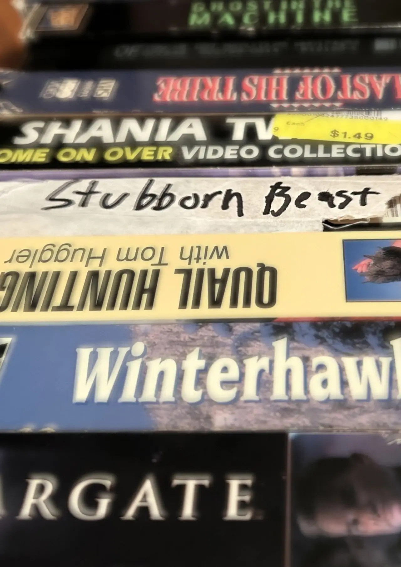 Movie poster "Stubborn Beast"