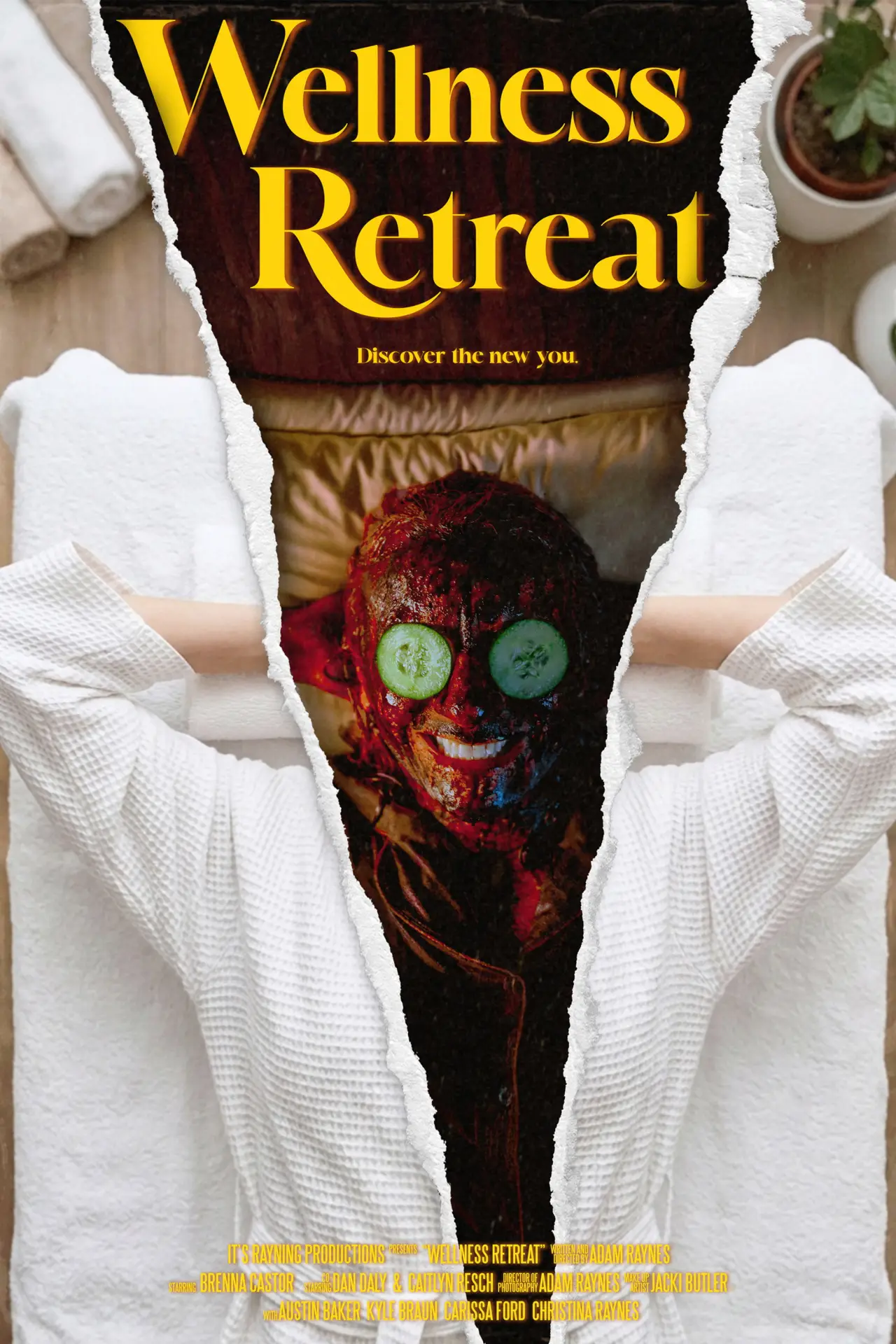 Movie poster "Wellness Retreat"