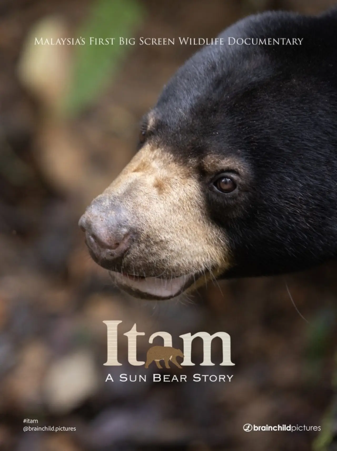Movie poster "Itam: A Sun Bear Story"