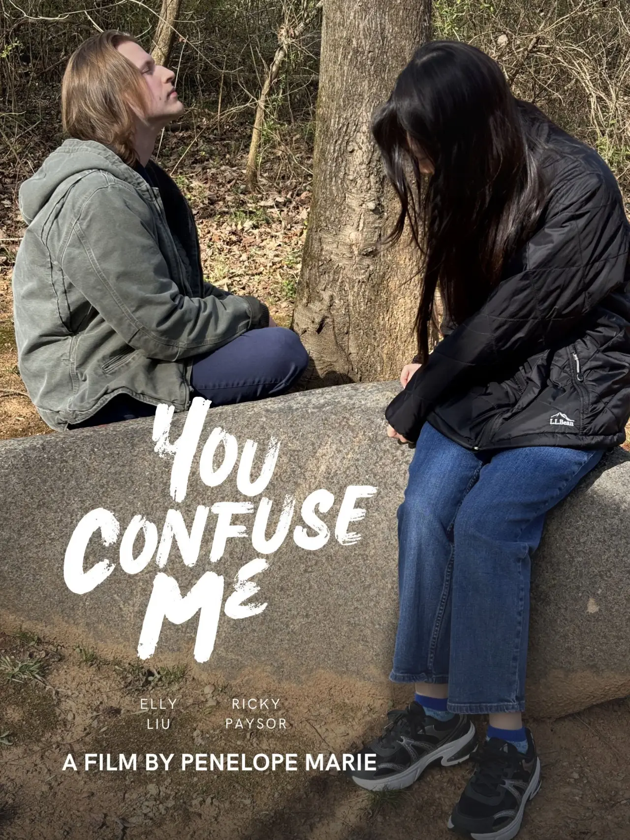 Movie poster "You Confuse Me"