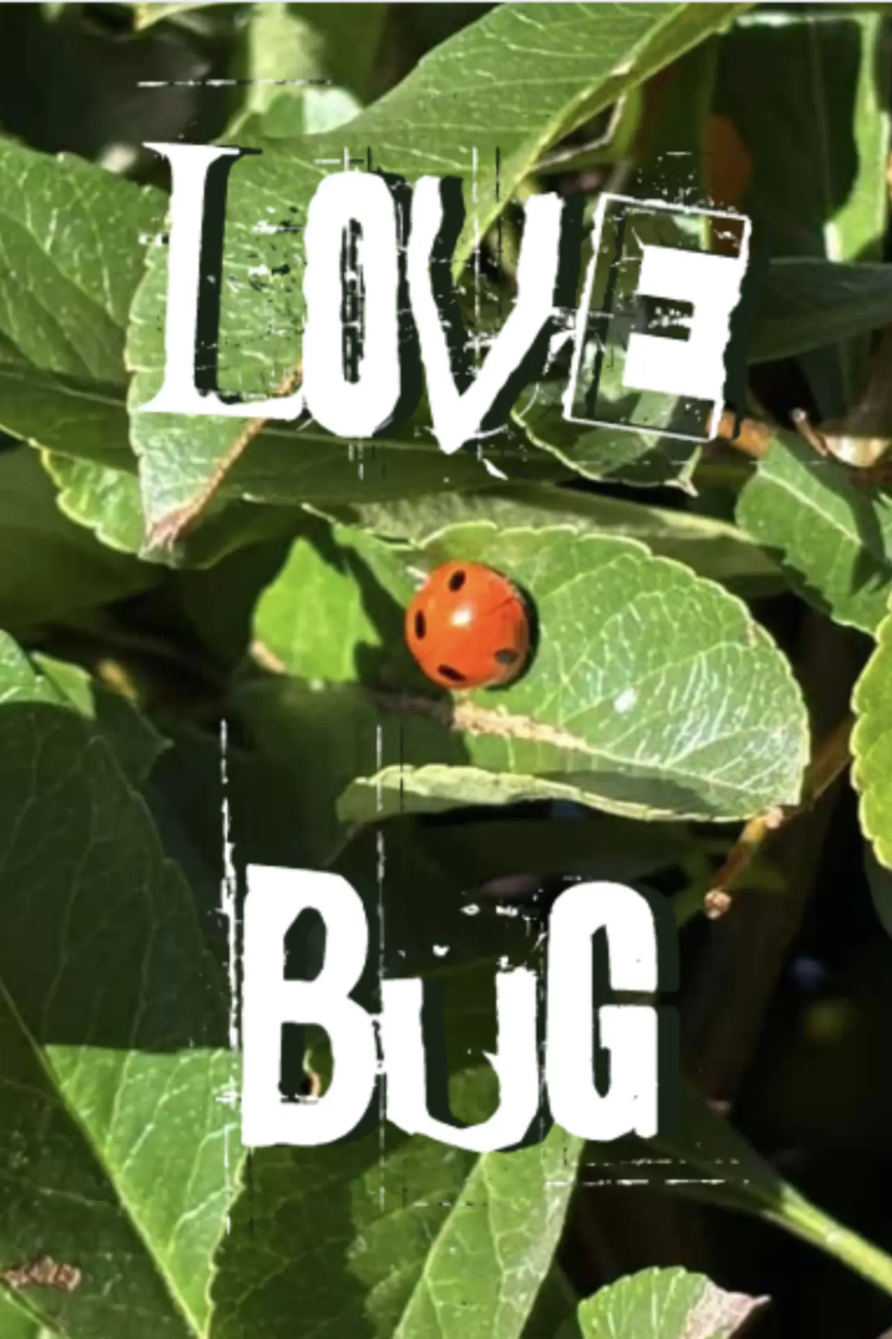 Movie poster "Lovebug"