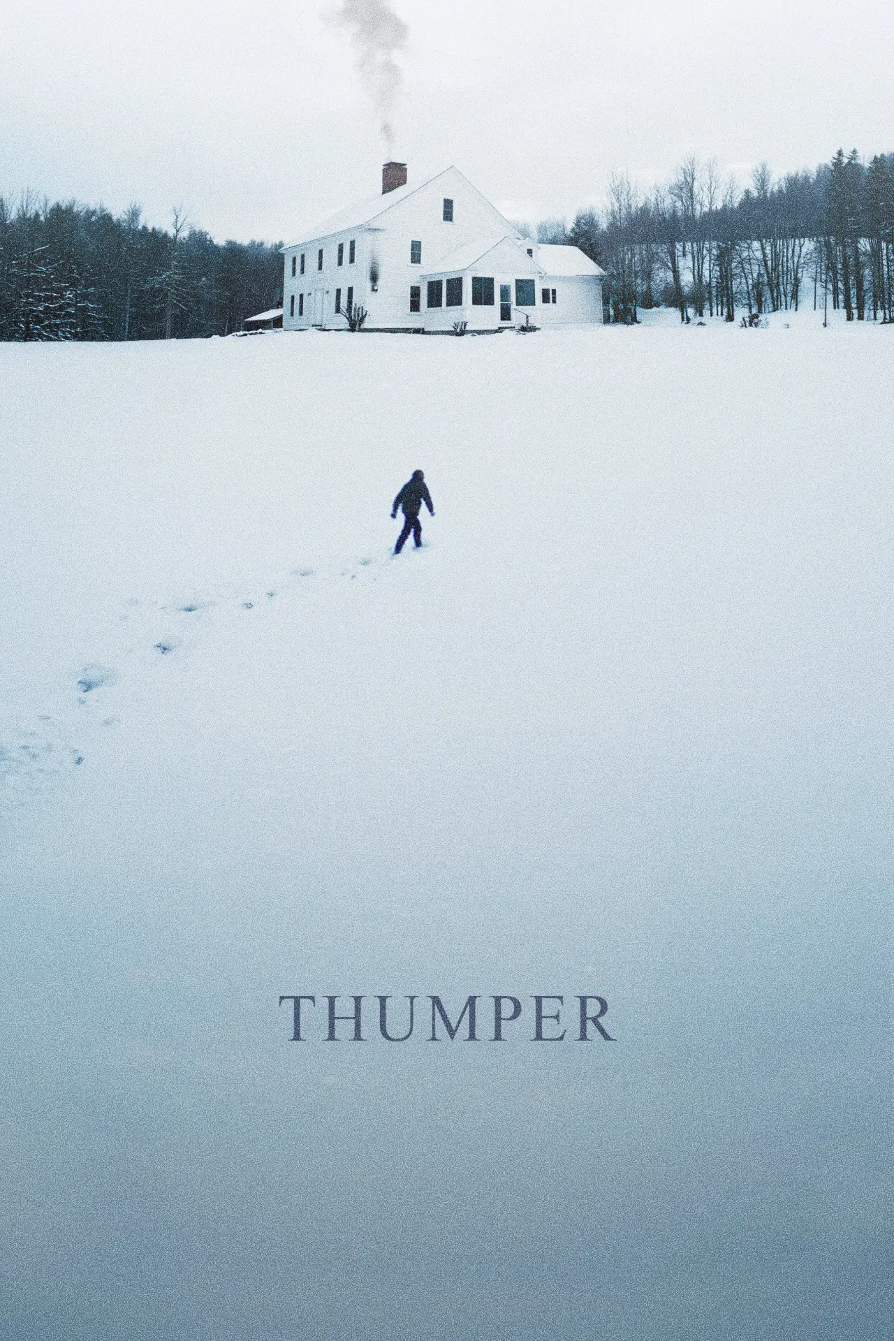 Movie poster "Thumper"
