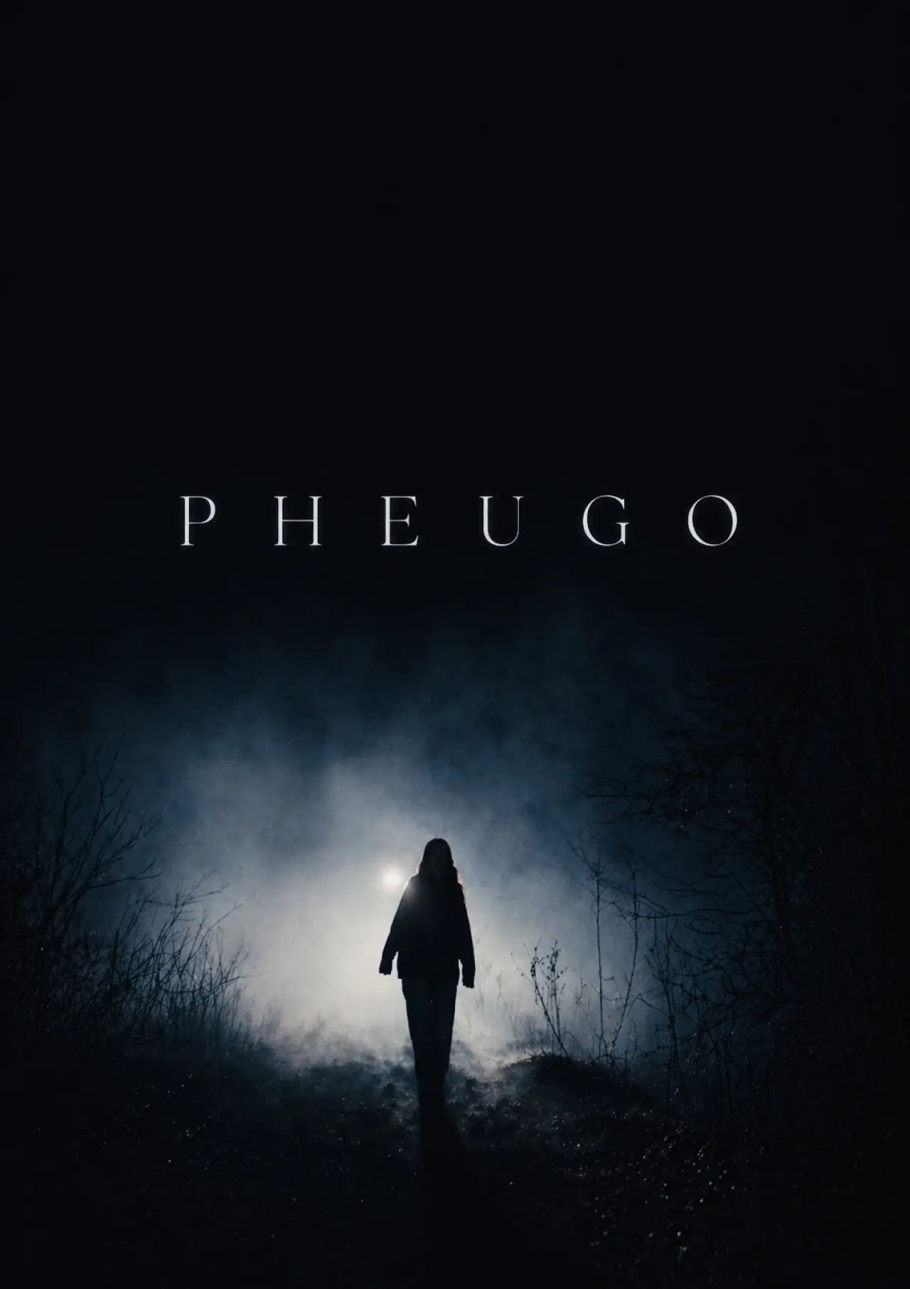 Movie poster "Pheugo"