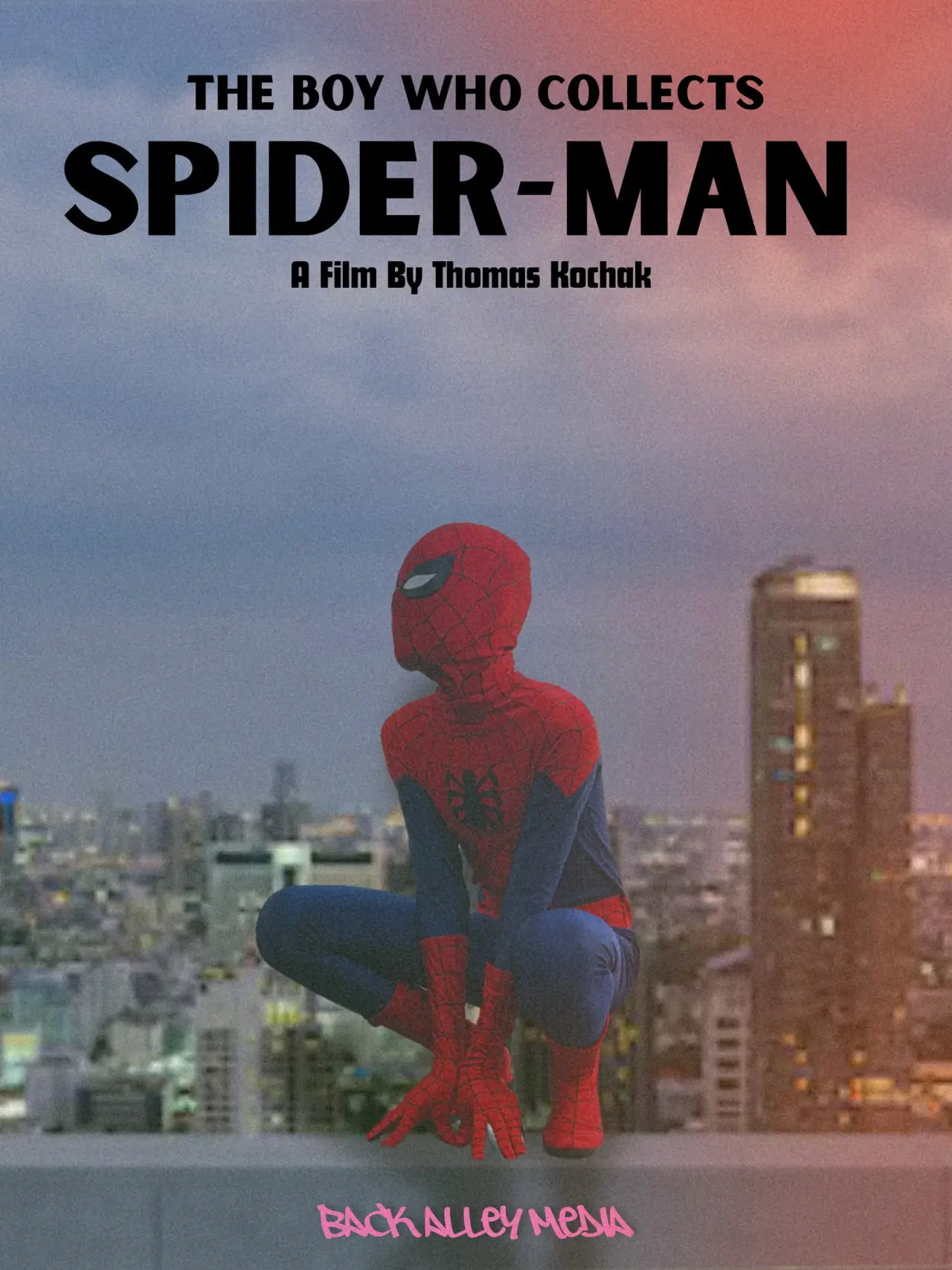 Movie poster "The Boy Who Collects Spider-Man"
