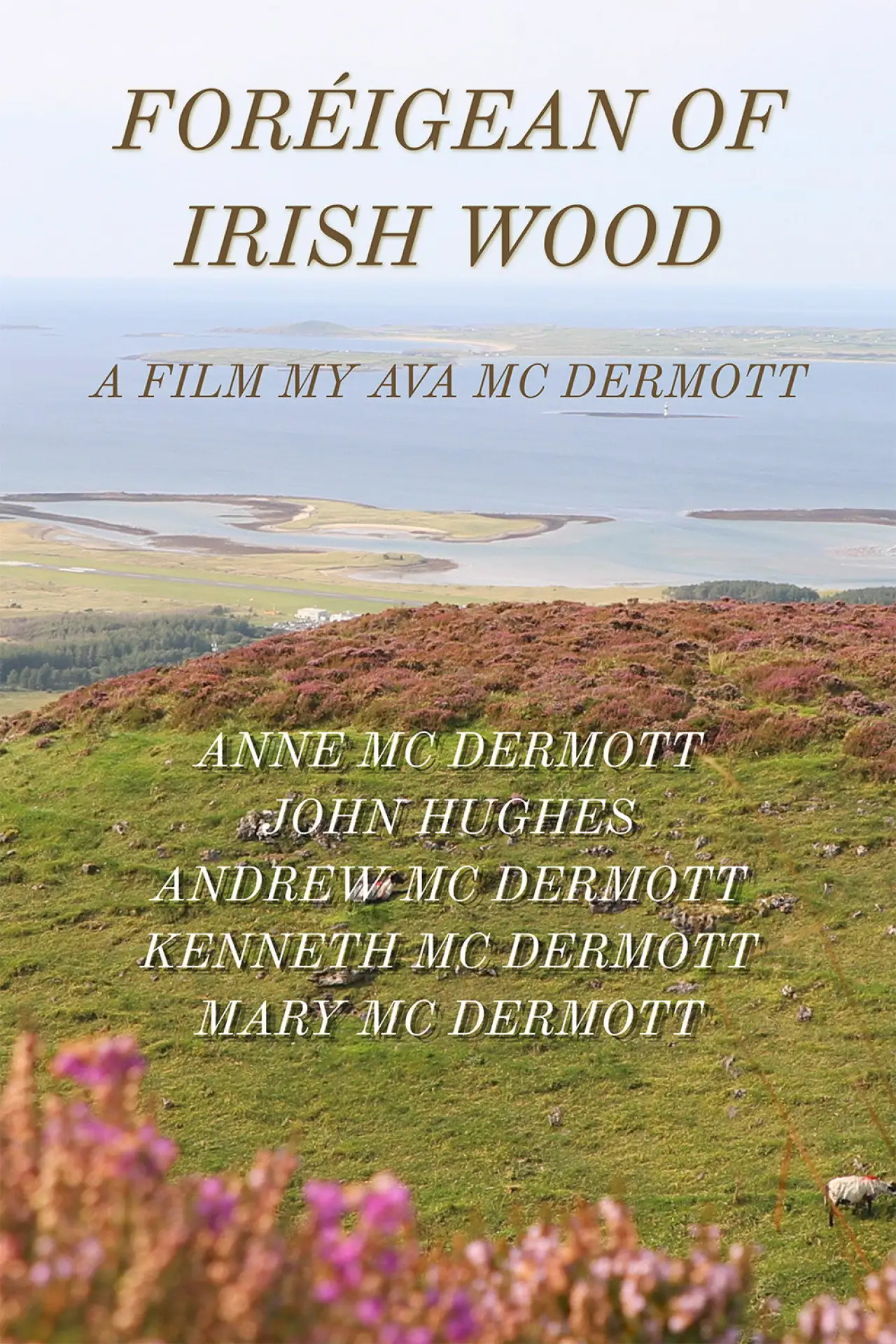 Movie poster "Foreigean of the Irish Woods"