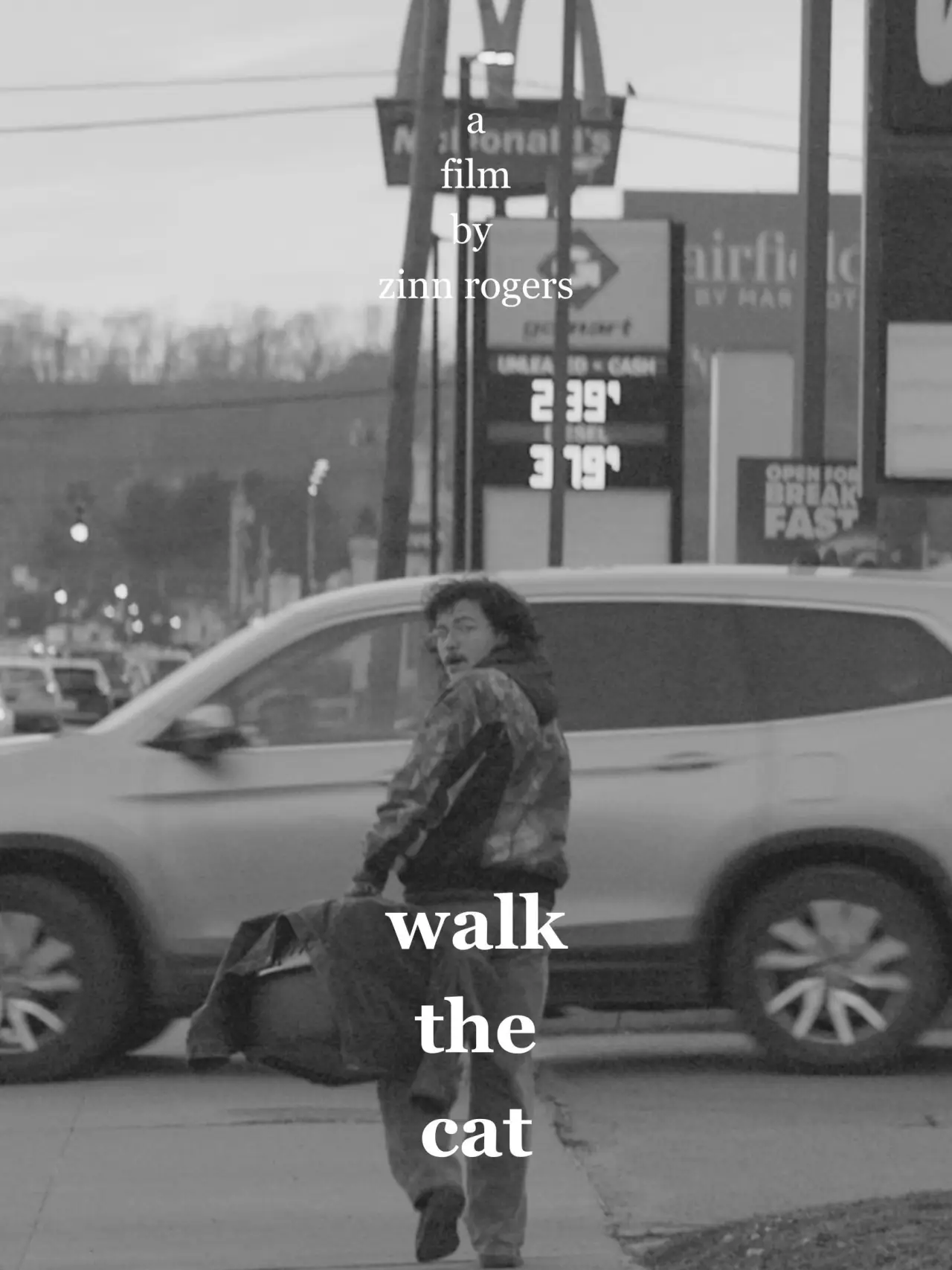 Movie poster "Walk the Cat"