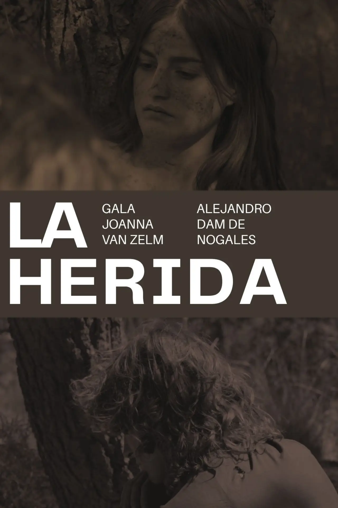 Movie poster "La herida"