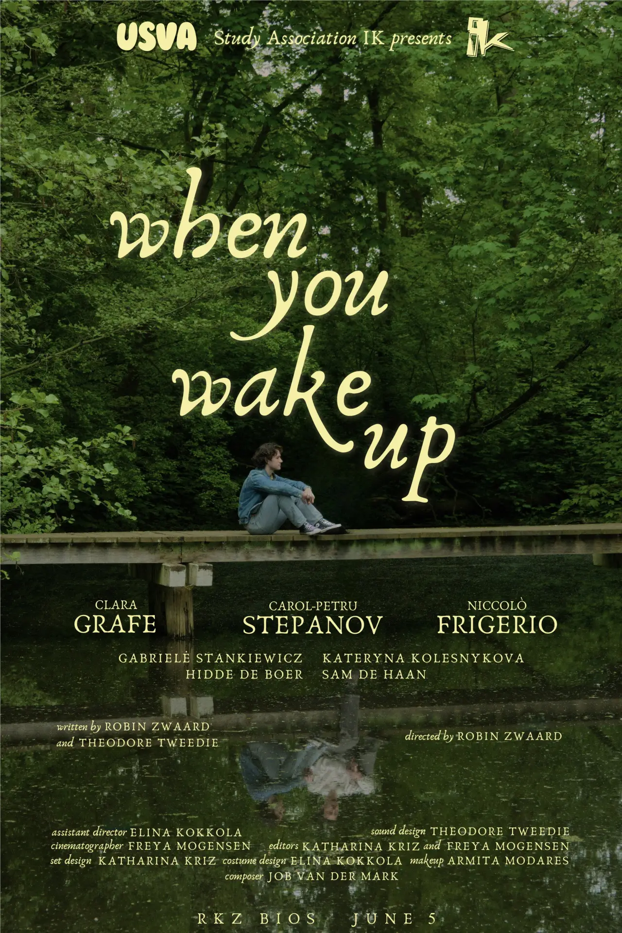 Movie poster "When You Wake Up"