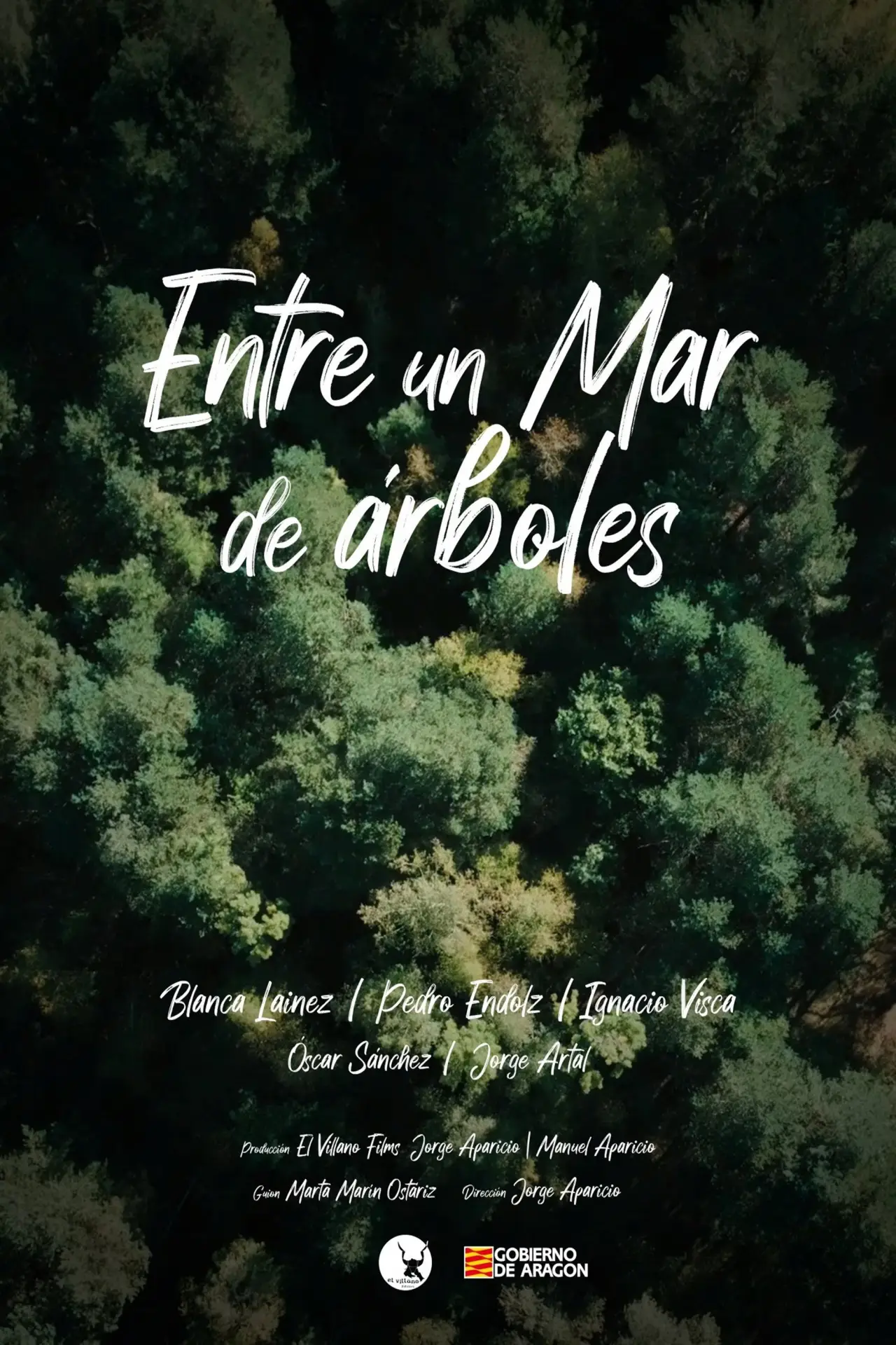 Movie poster "Entre un mar de árboles"