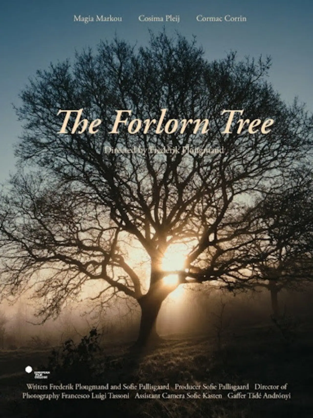 Movie poster "The Forlorn Tree"