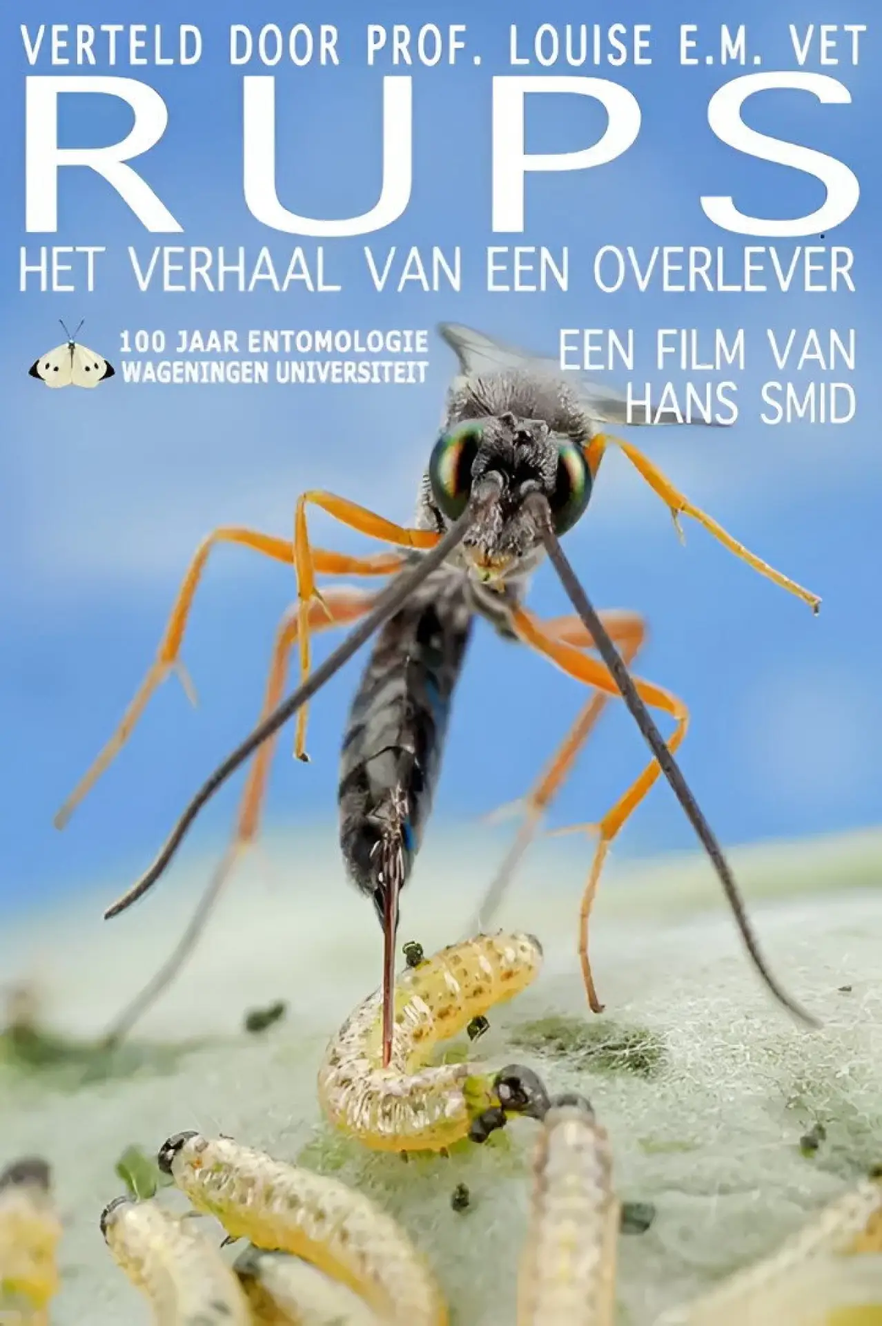 Movie poster "Rups"