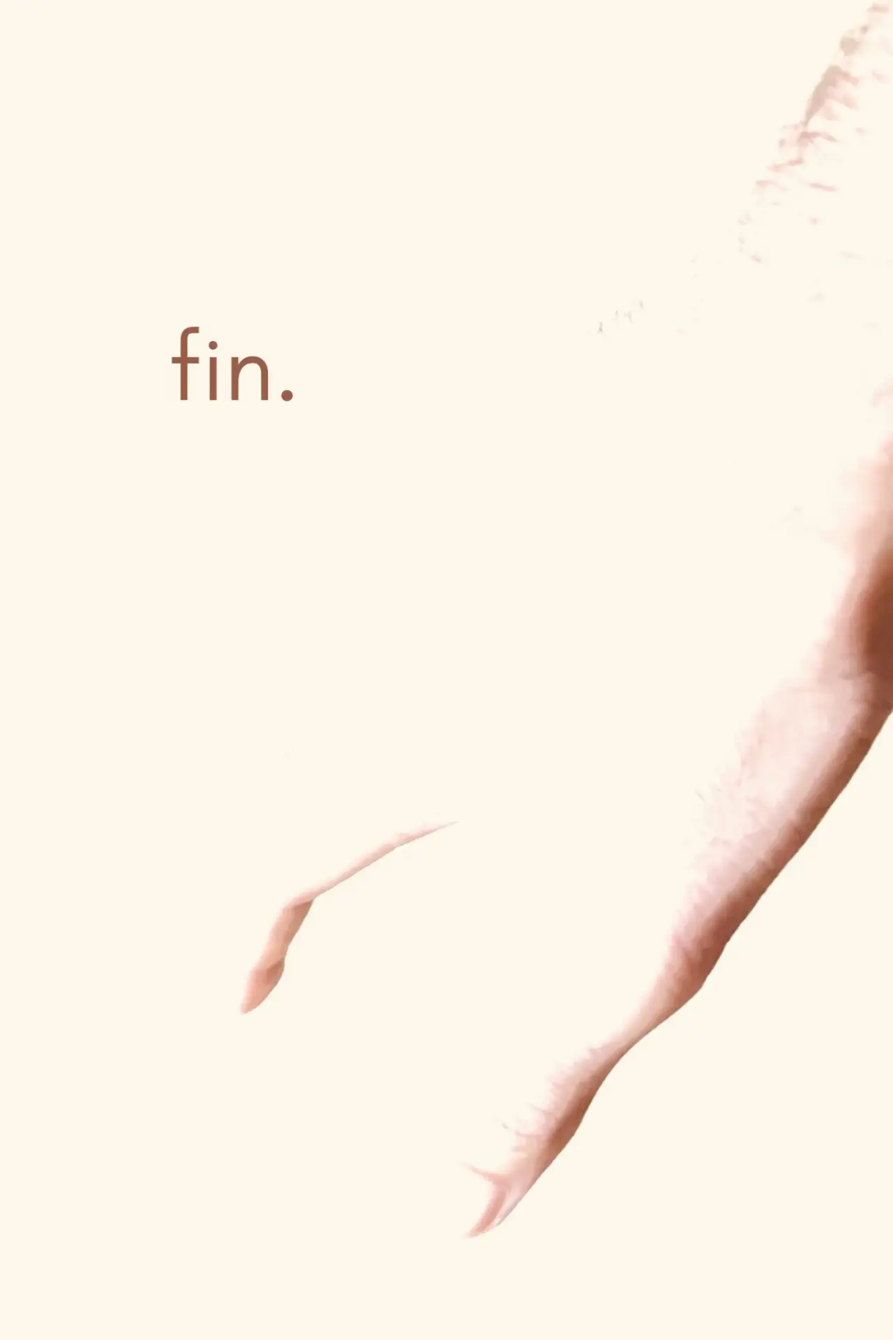 Movie poster "The End"