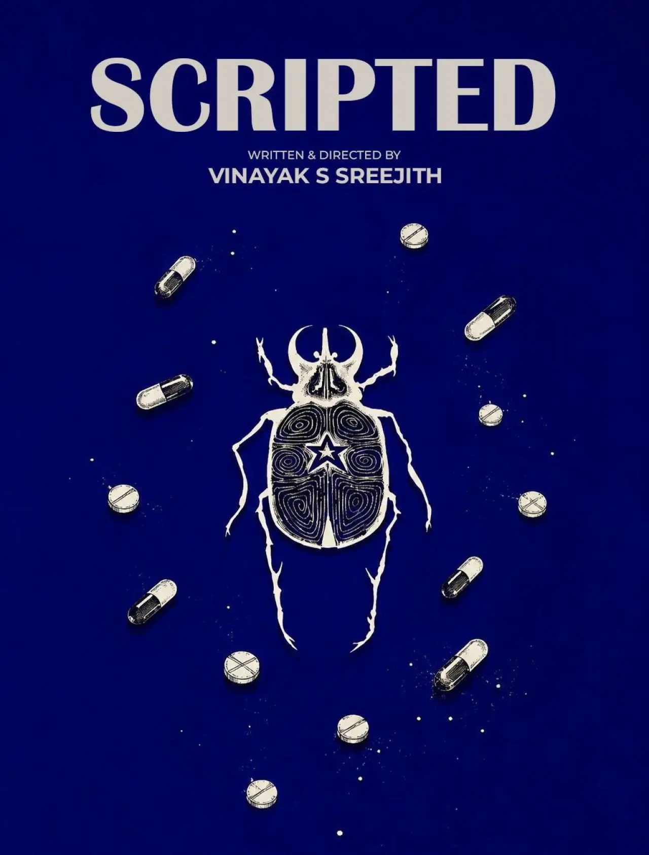 Movie poster "Scripted"