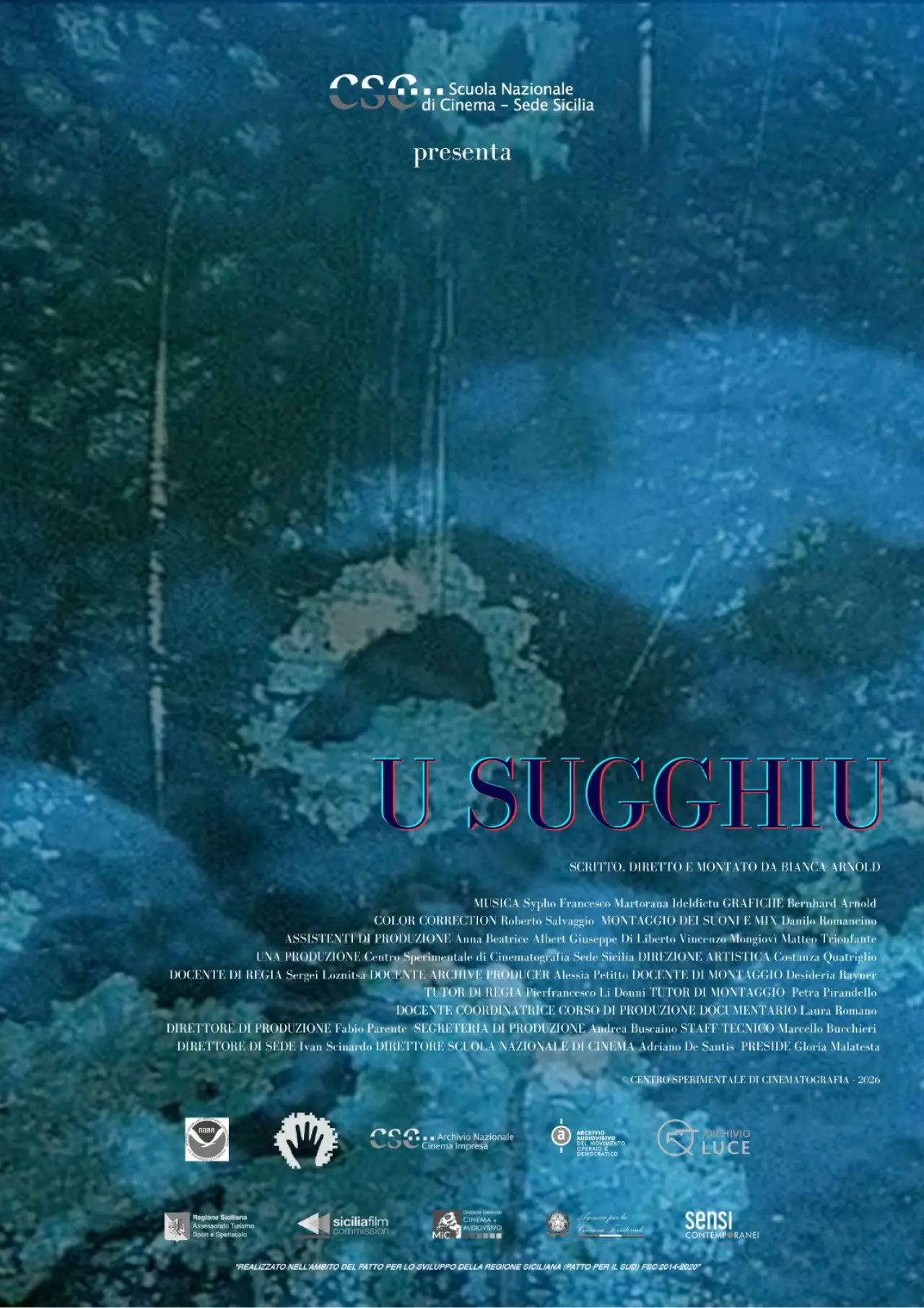 Movie poster "U Sugghiu"