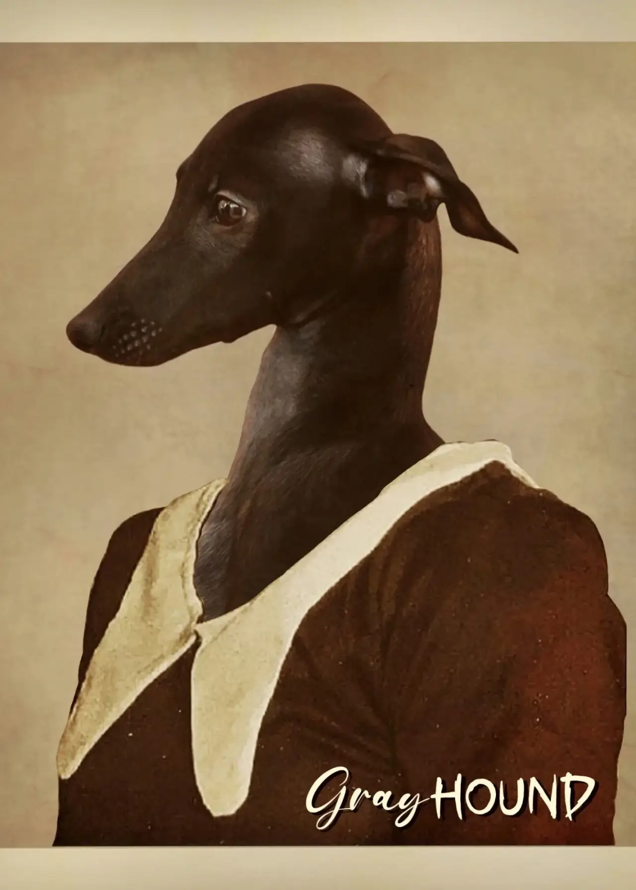 Movie poster "Gray Hound"