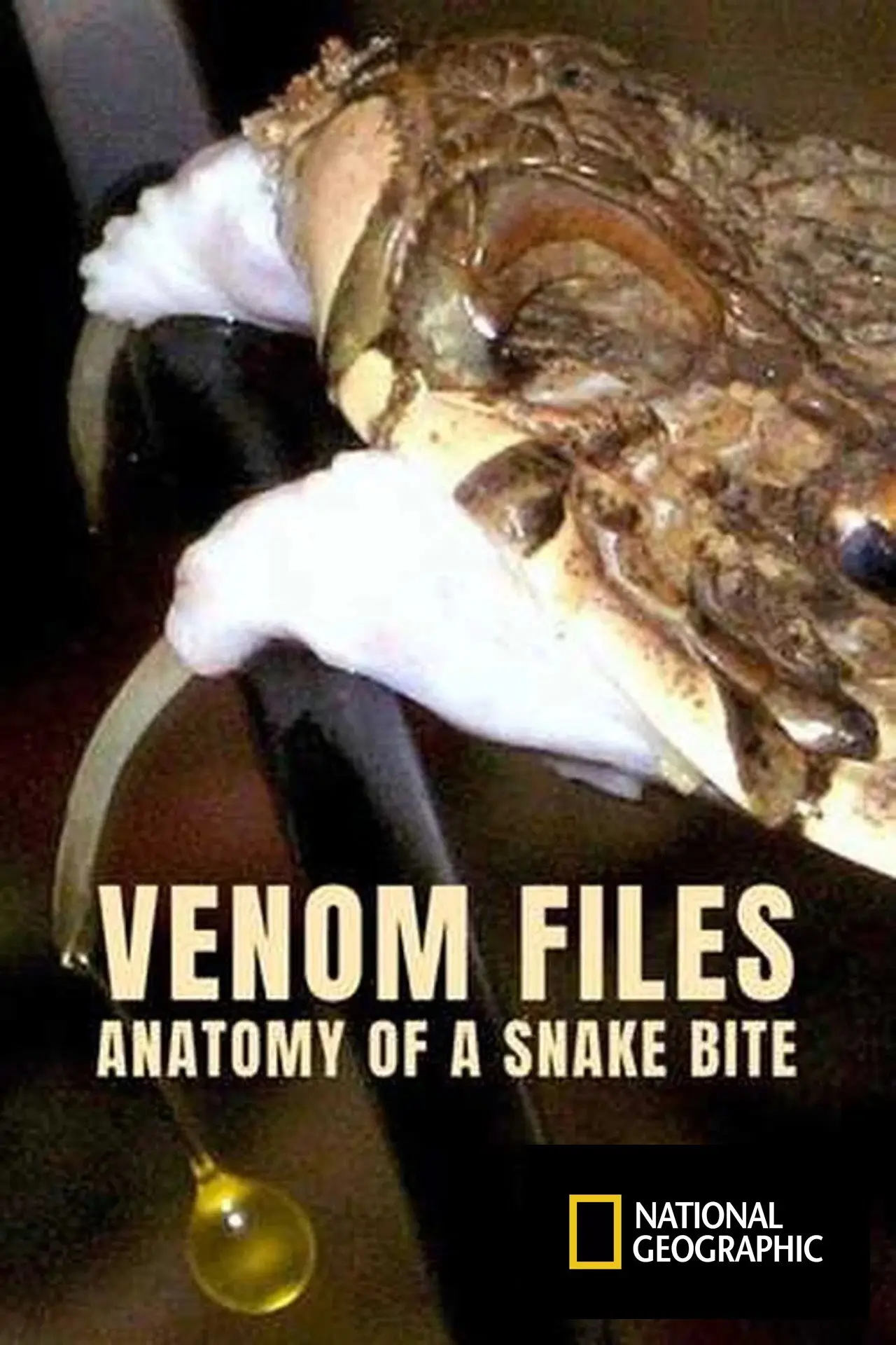 Movie poster "Venom File - Anatomy of a snake bite"