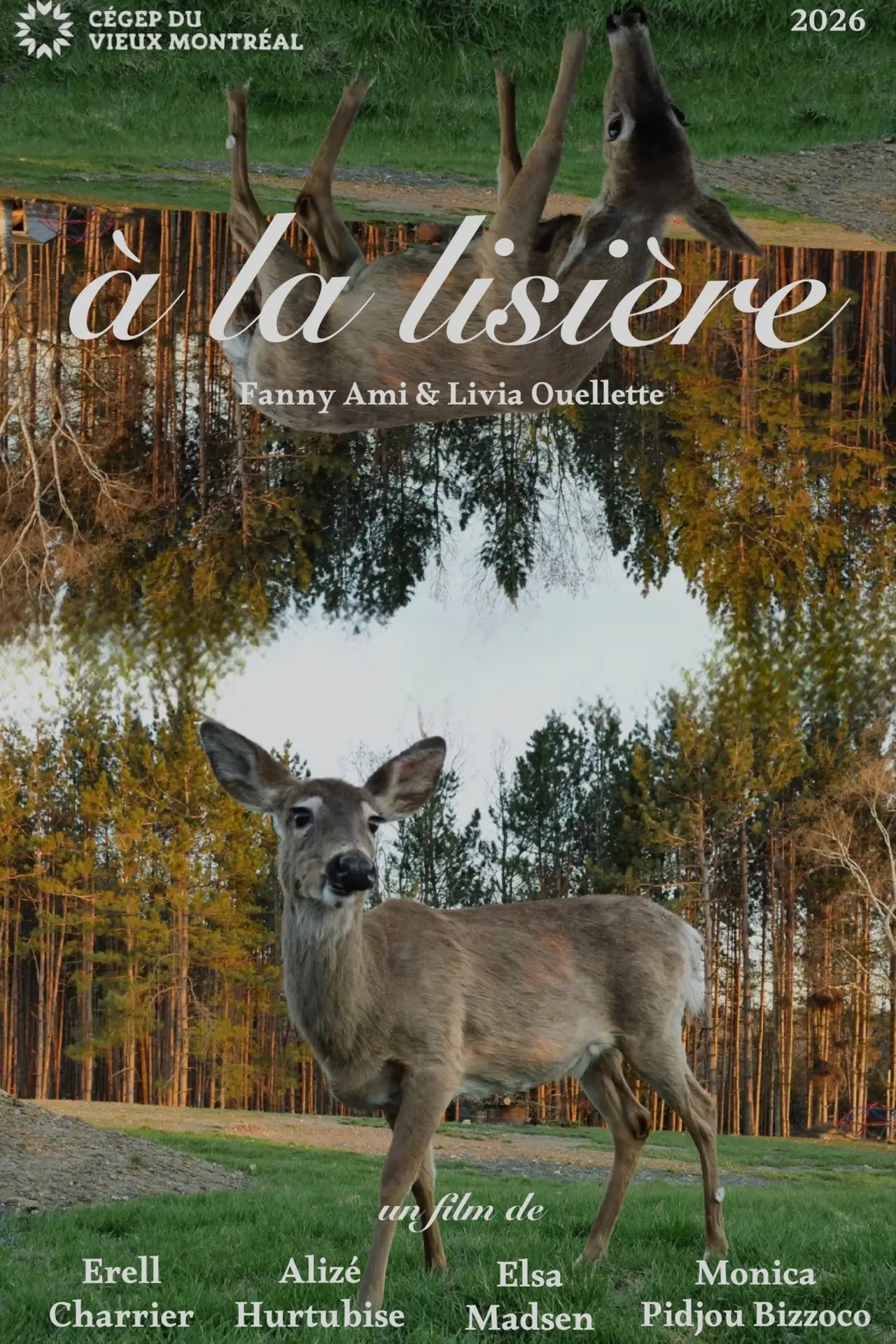 Movie poster "À la lisière"