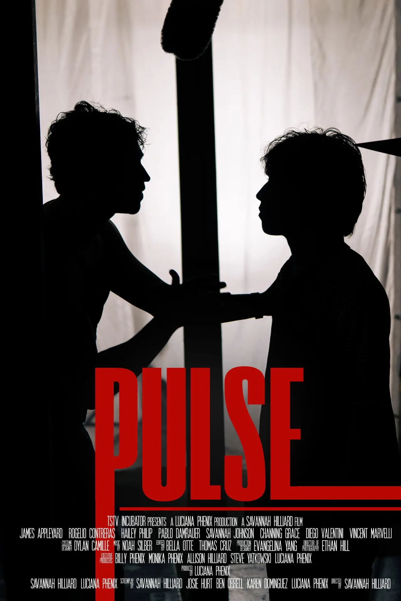Movie poster "PULSE"