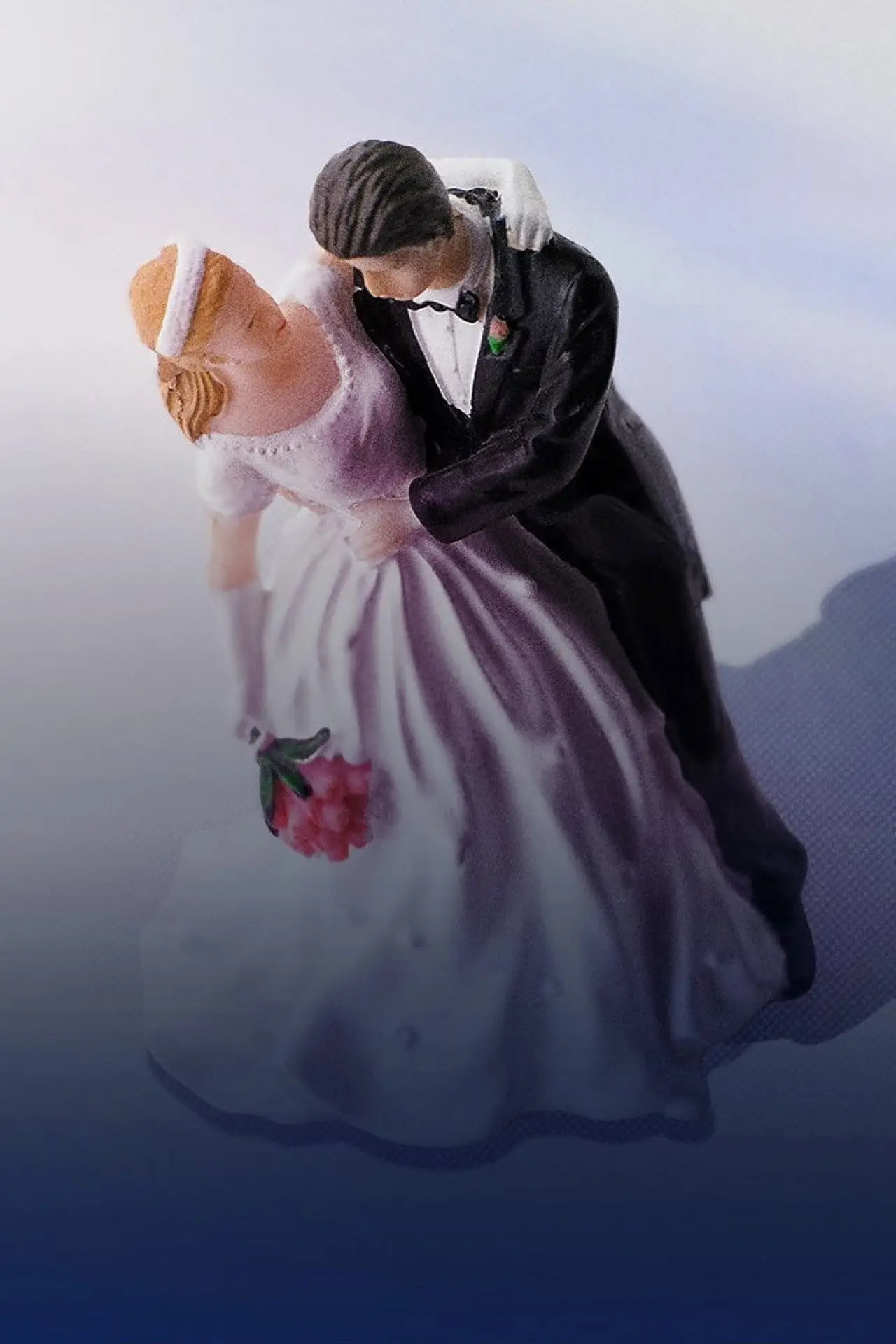 Movie poster "The Dark Side of Married at First Sight - Panorama"