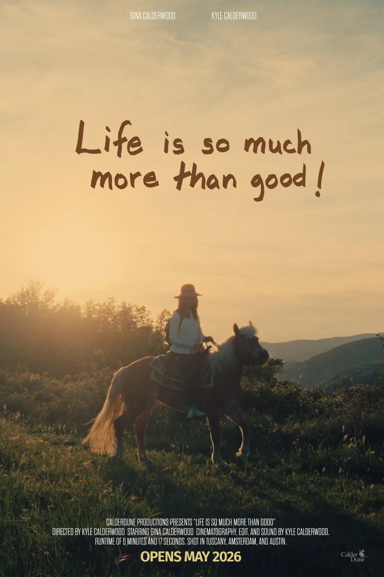 Movie poster "Life is so much more than good!"
