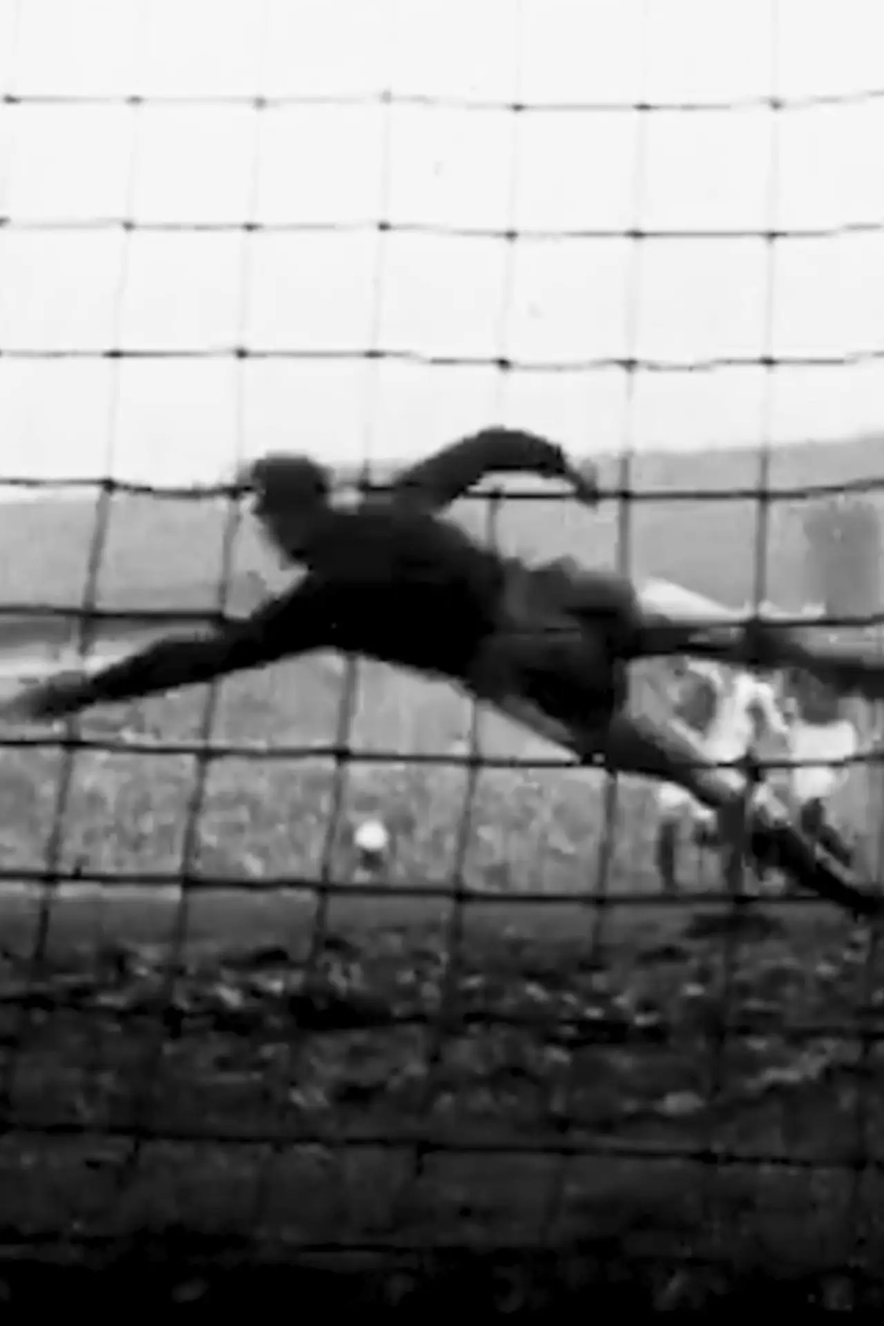 Movie poster "Il mio pallone / la mia vita"
