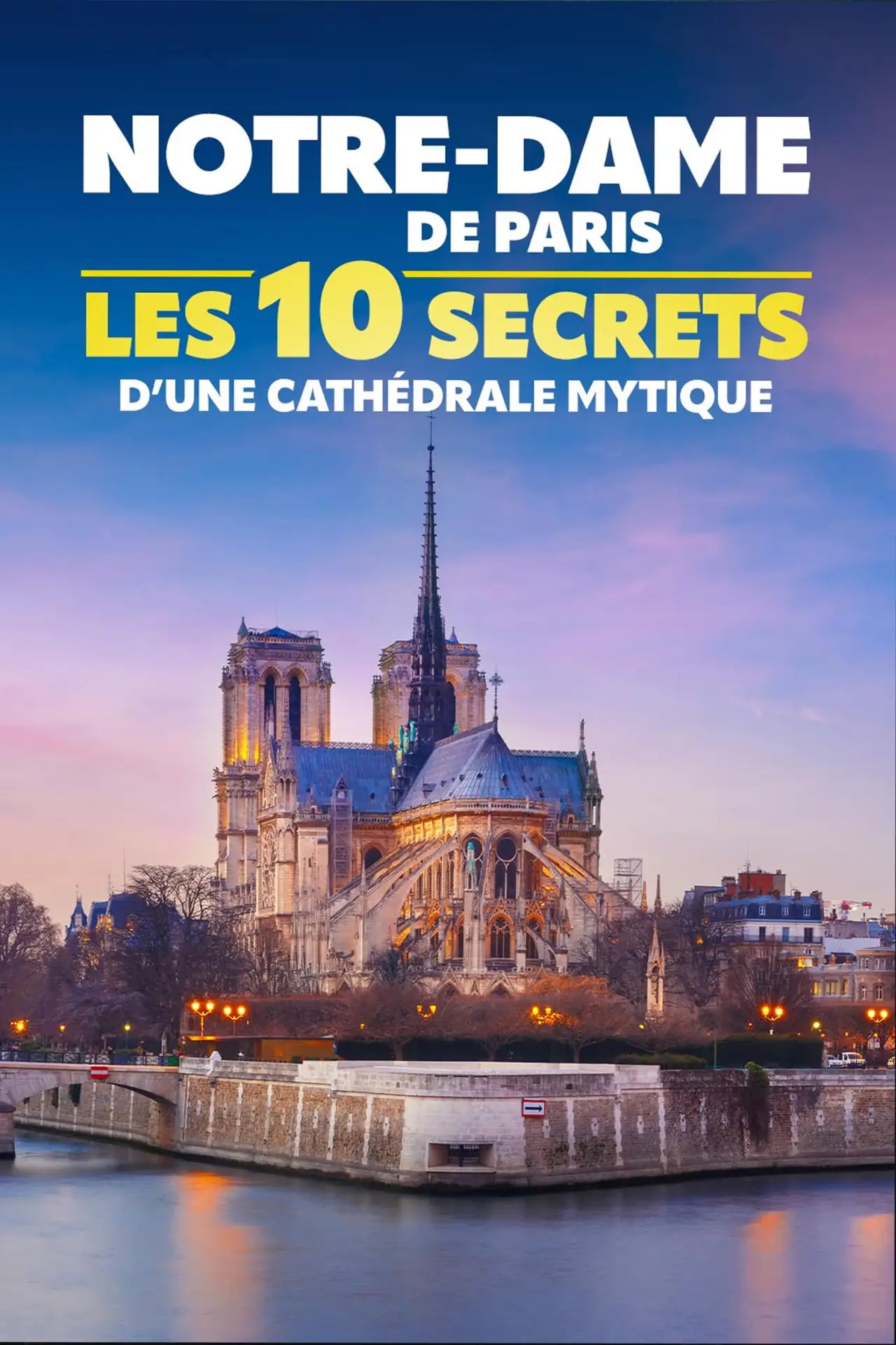 Movie poster "Notre-Dame de Paris : les 10 secrets d