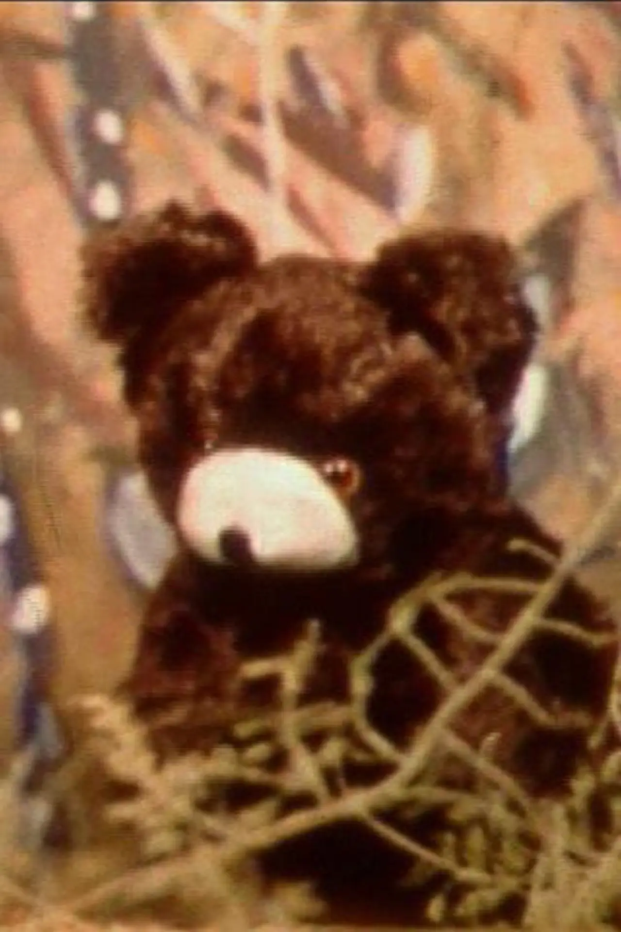 Movie poster "Little Bear Story"