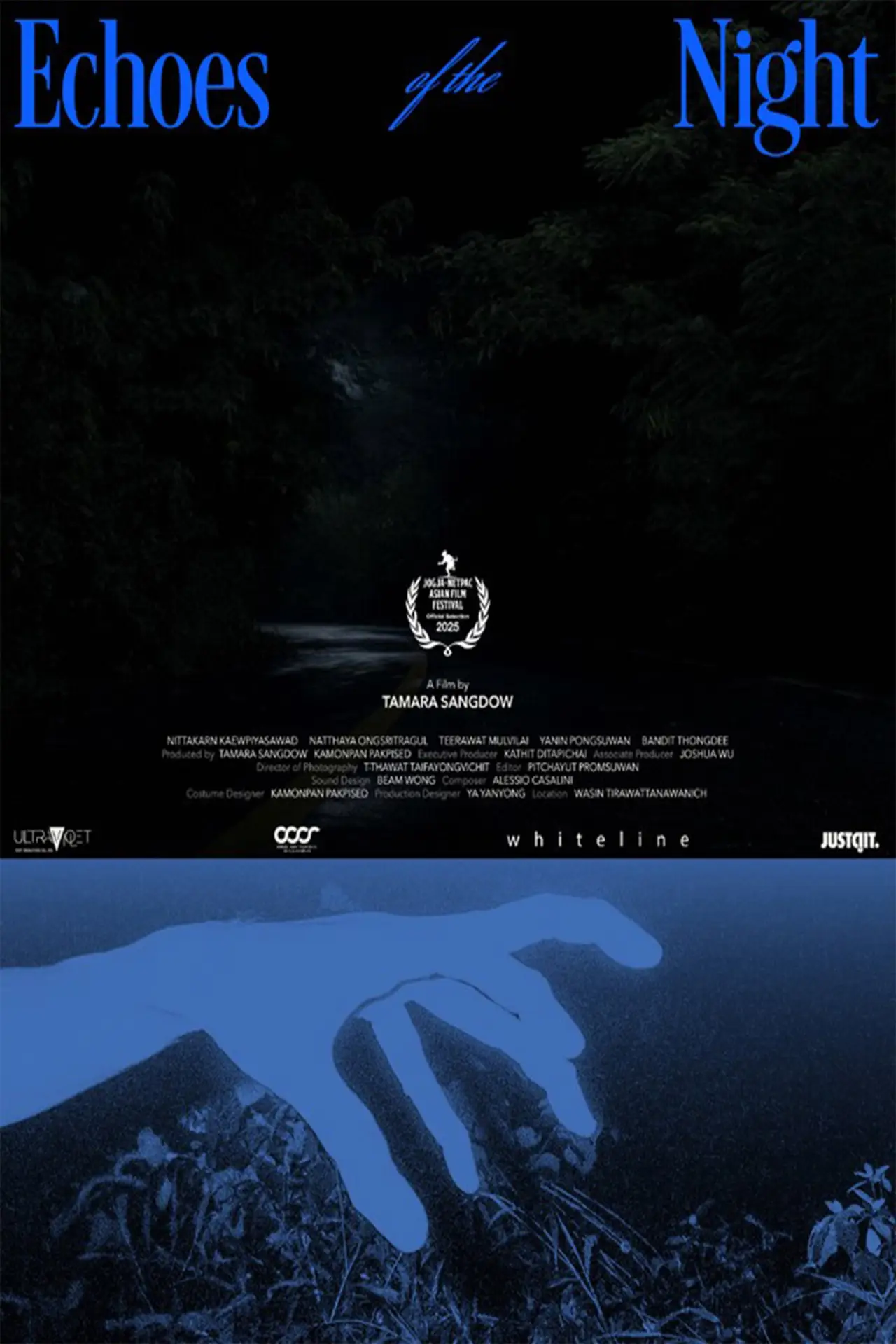 Movie poster "Echoes of the Night"