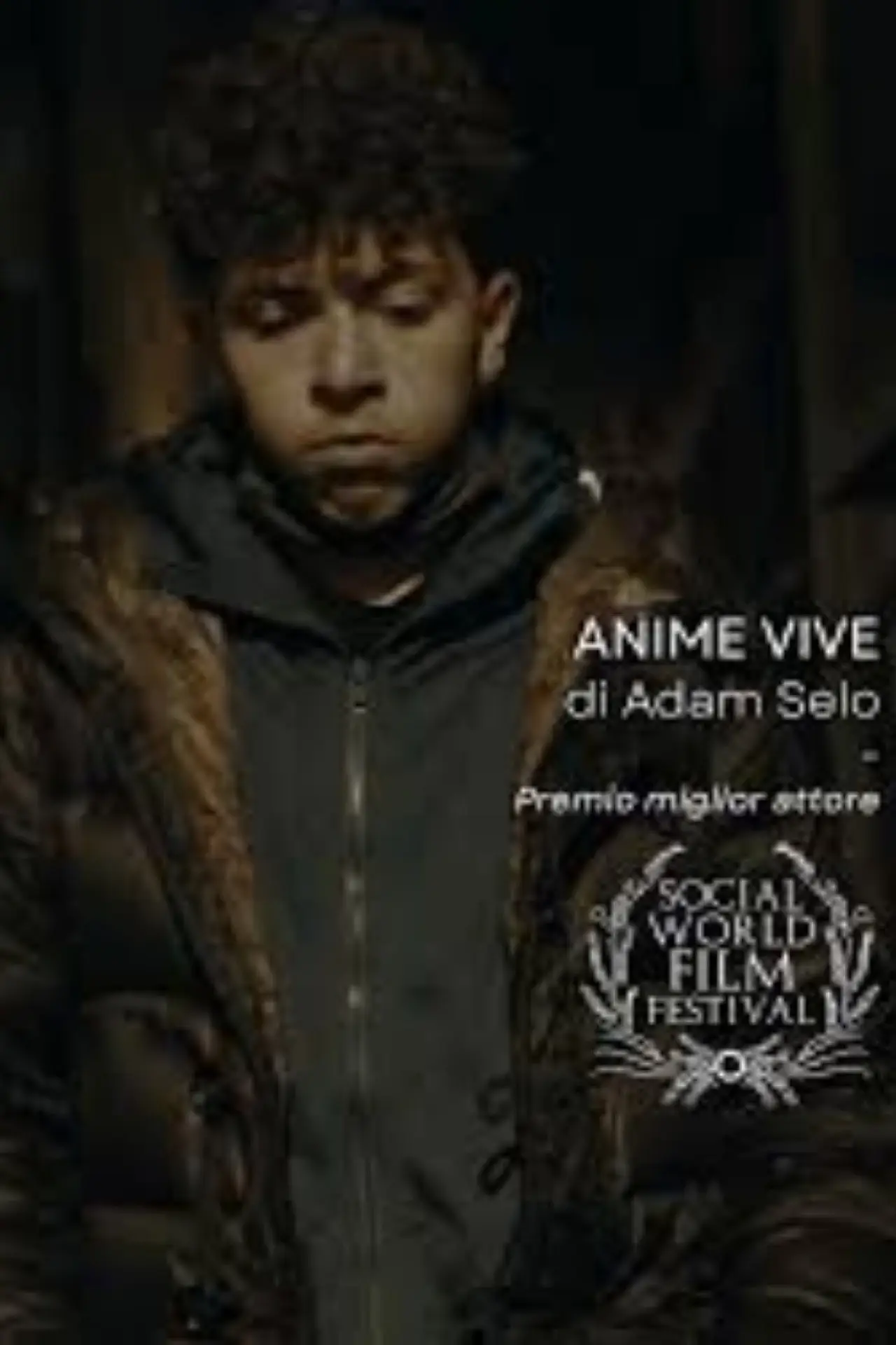Movie poster "Anime Vive"