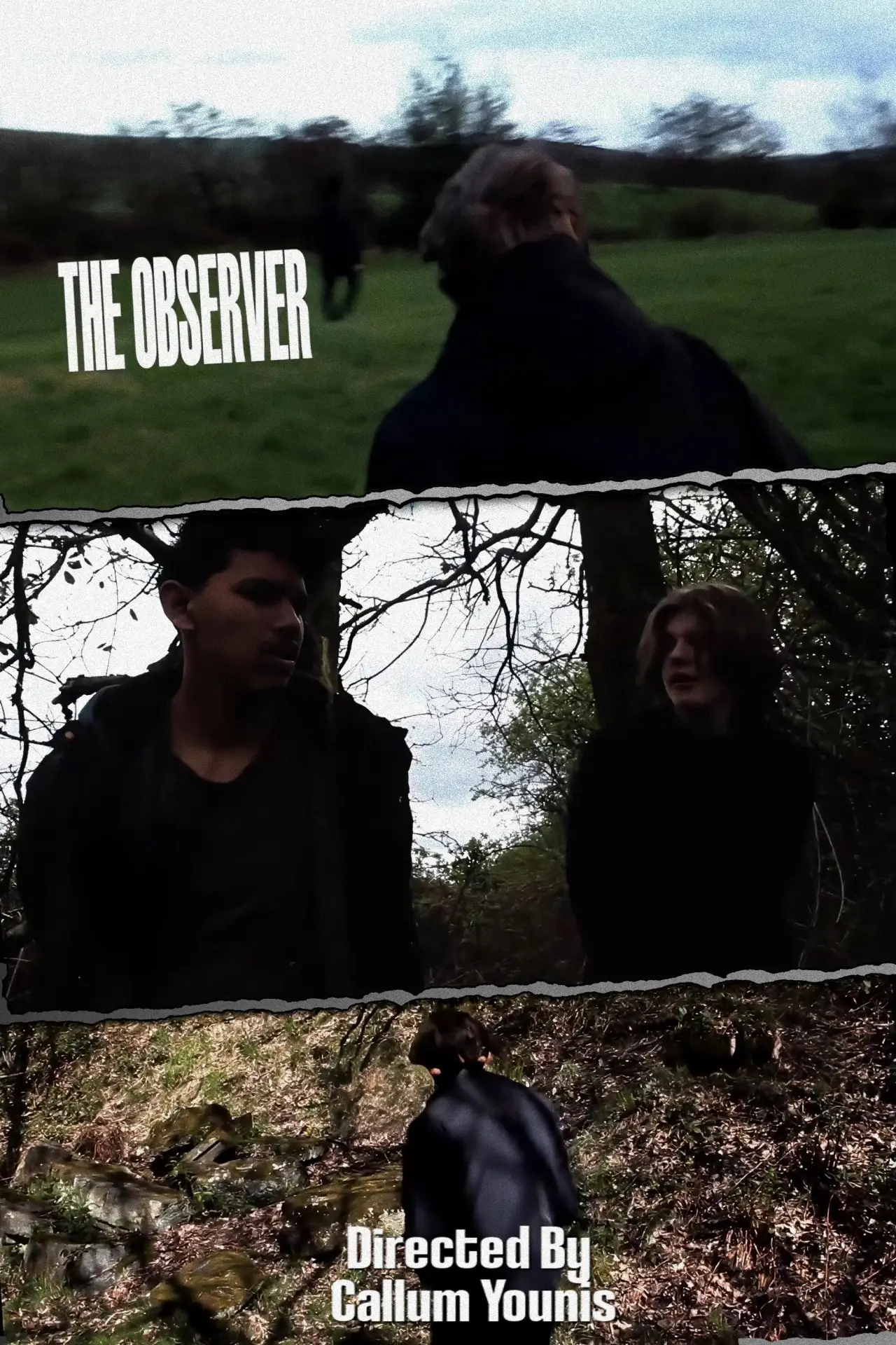 Movie poster "The Observer"