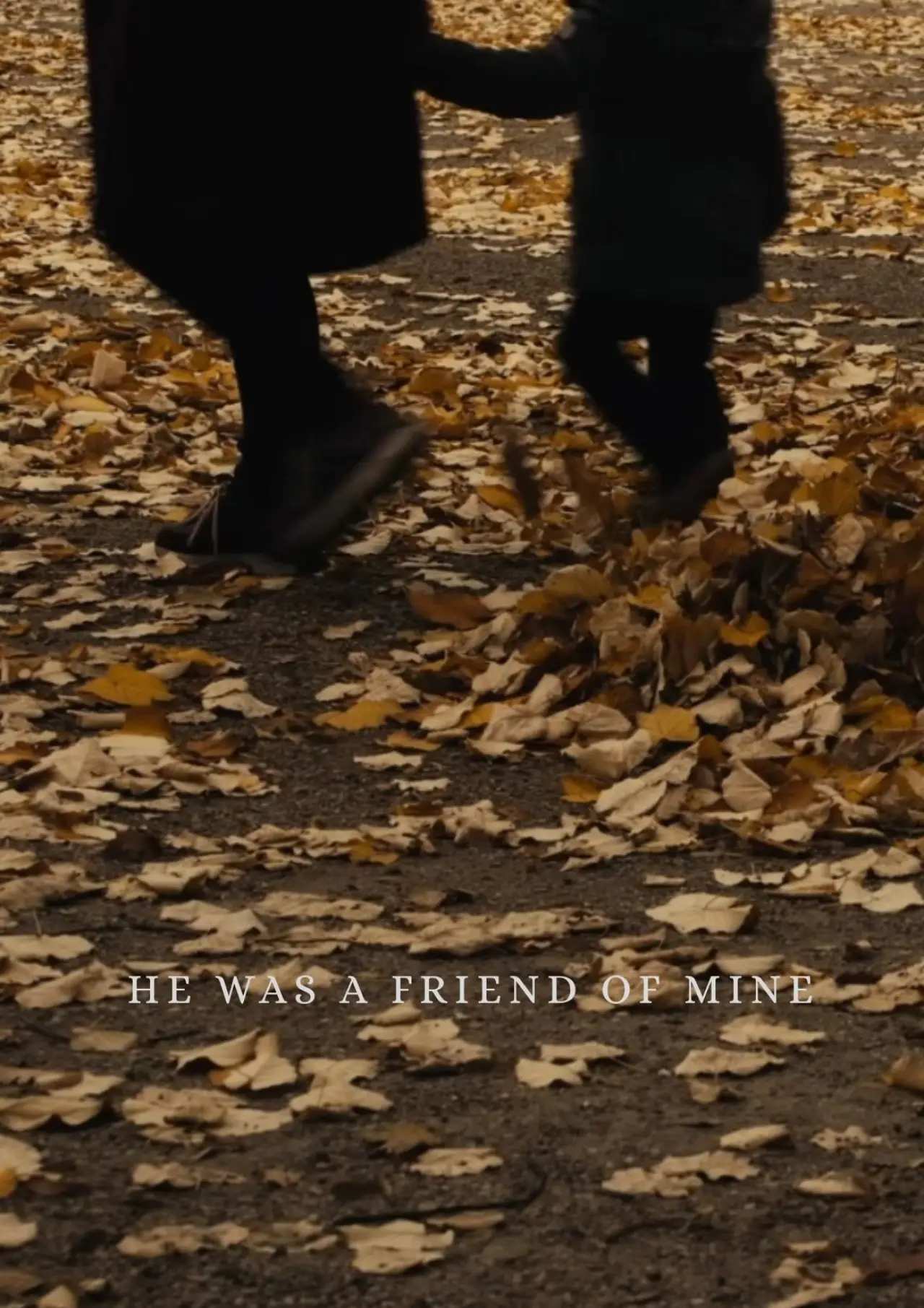 Movie poster "He Was a Friend of Mine"