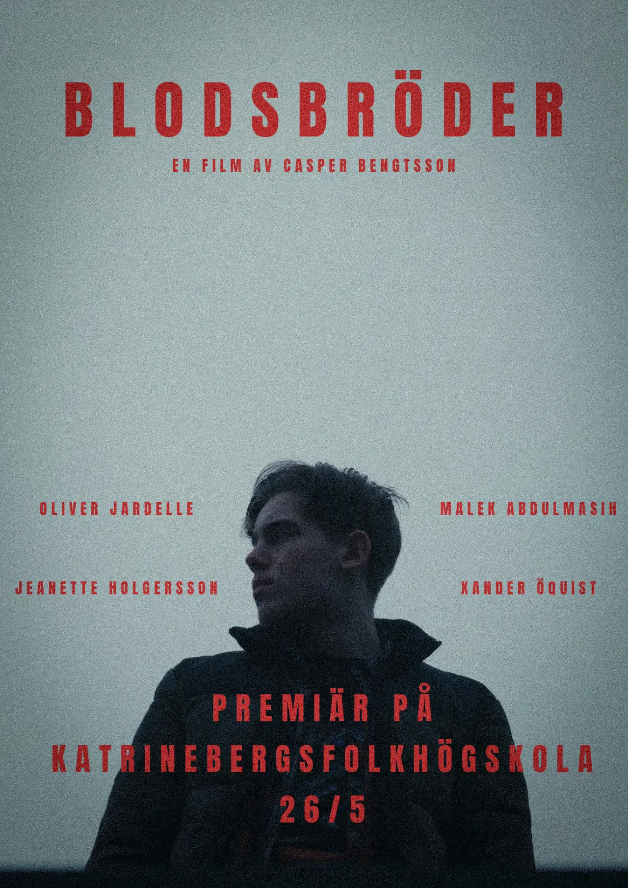 Movie poster "Blodsbröder"