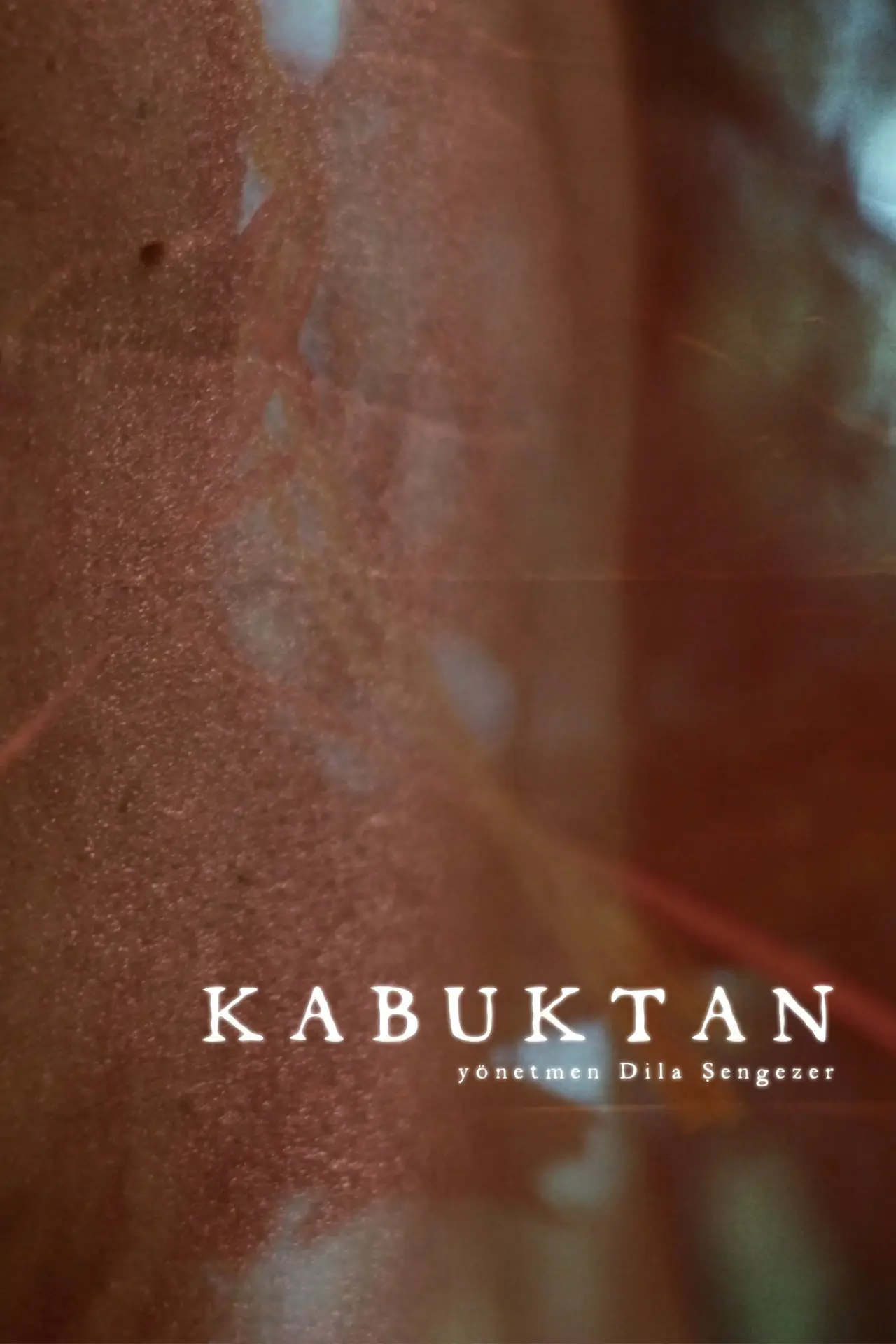 Movie poster "Kabuktan"