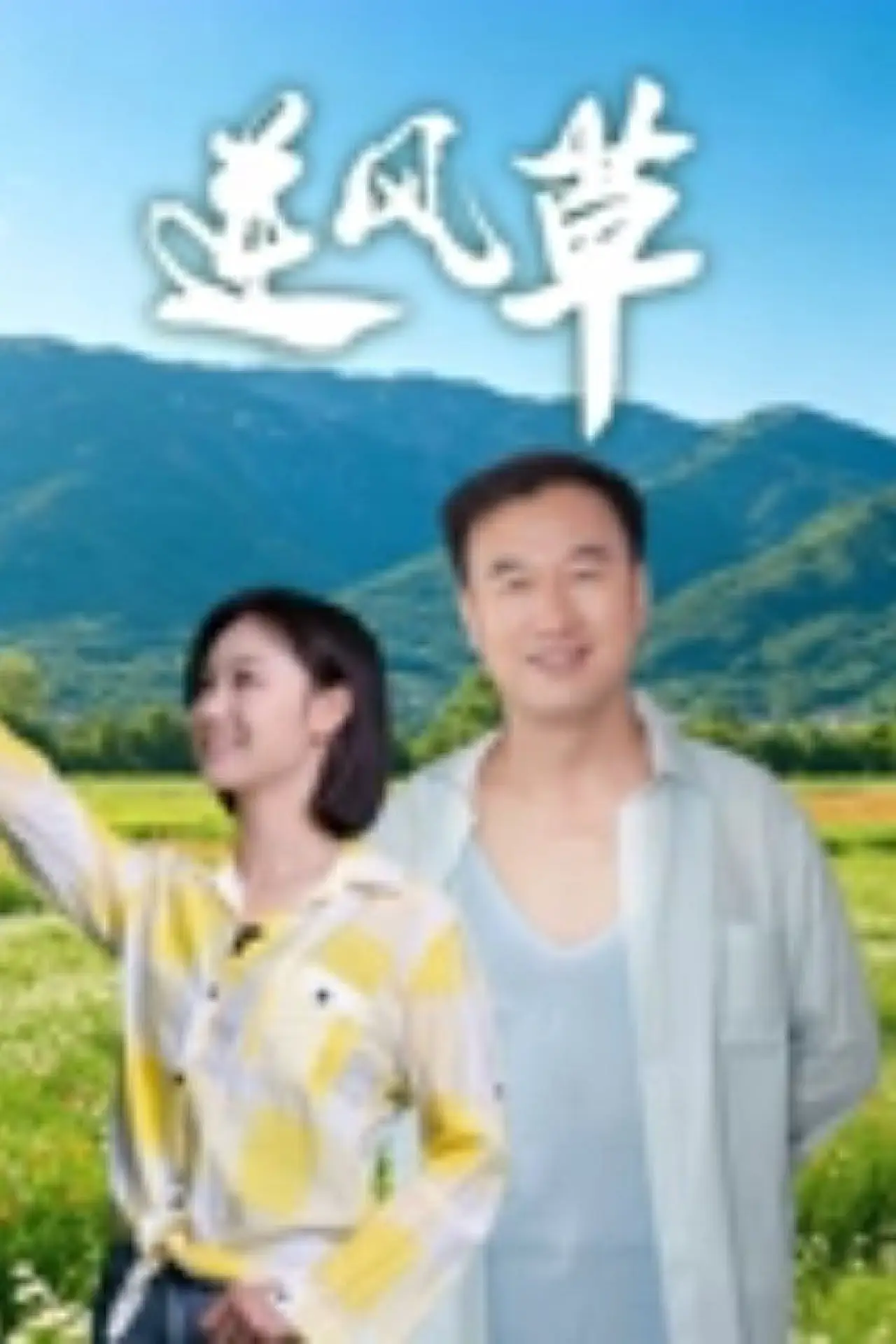 Movie poster "逆风草"