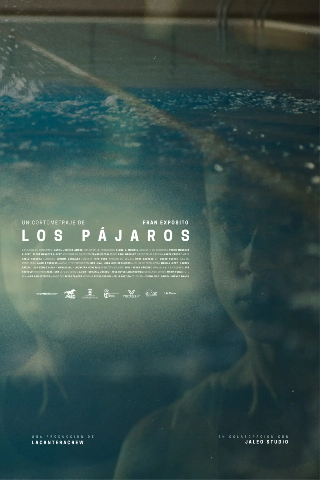 Movie poster "Los pájaros"